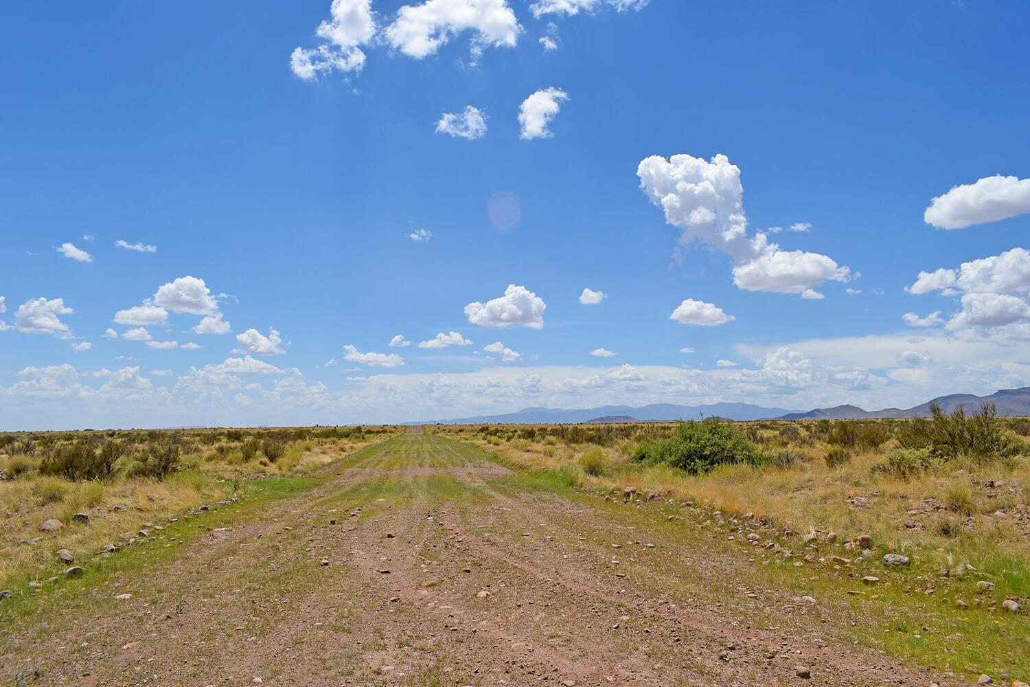 Photo 10 — 205 Muledeer Trail