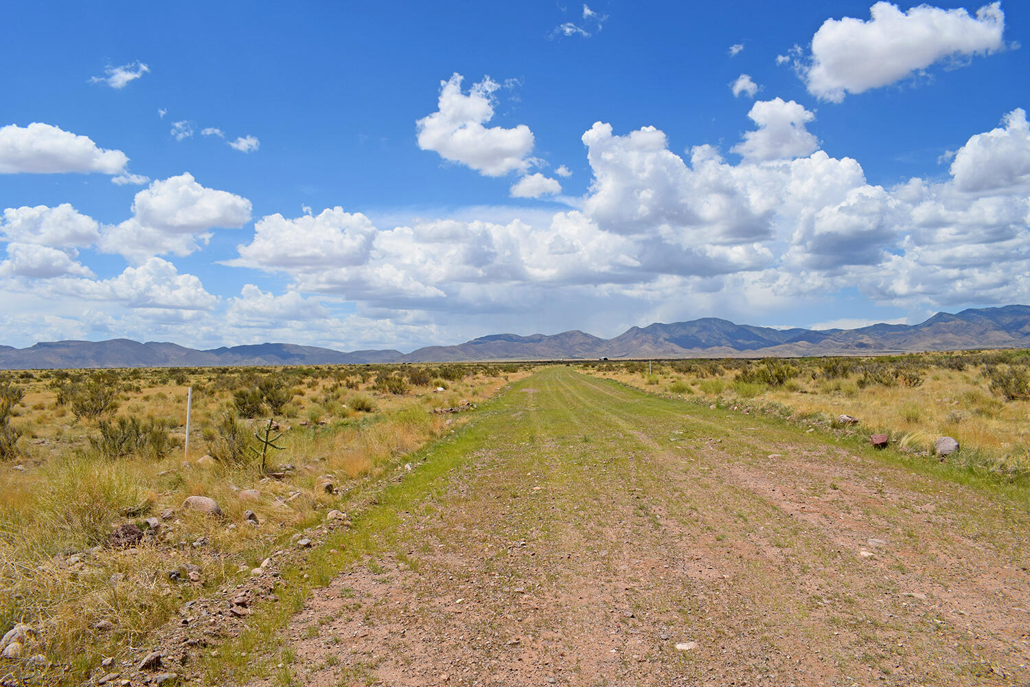 Photo 11 — 205 Muledeer Trail