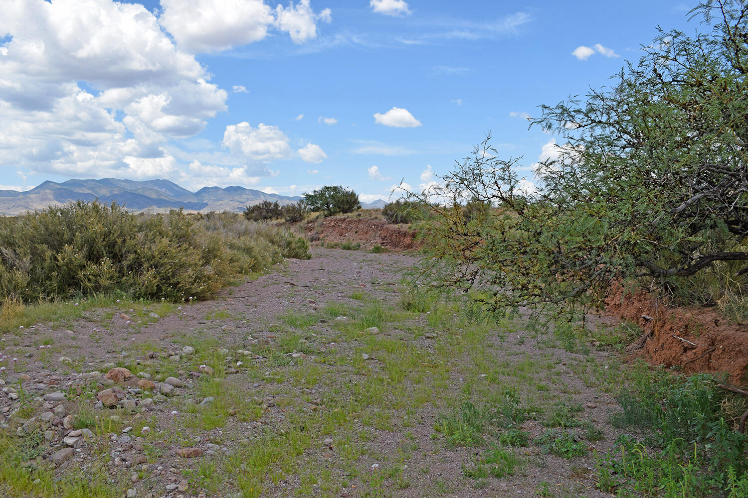 Photo 12 — 205 Muledeer Trail