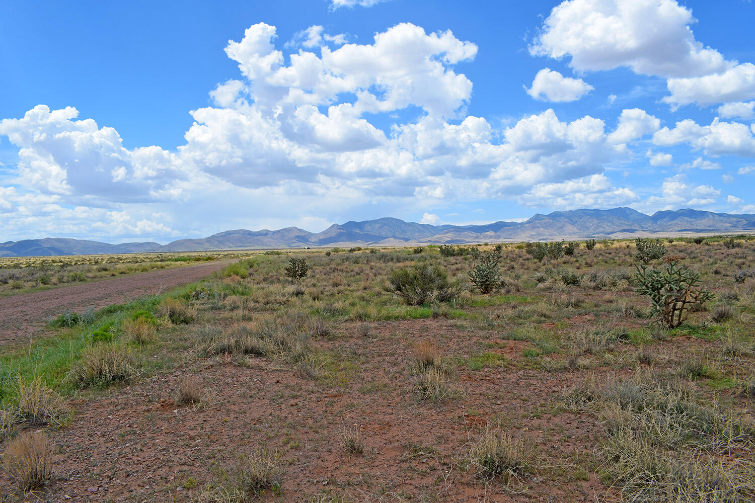 Photo 2 — 205 Muledeer Trail