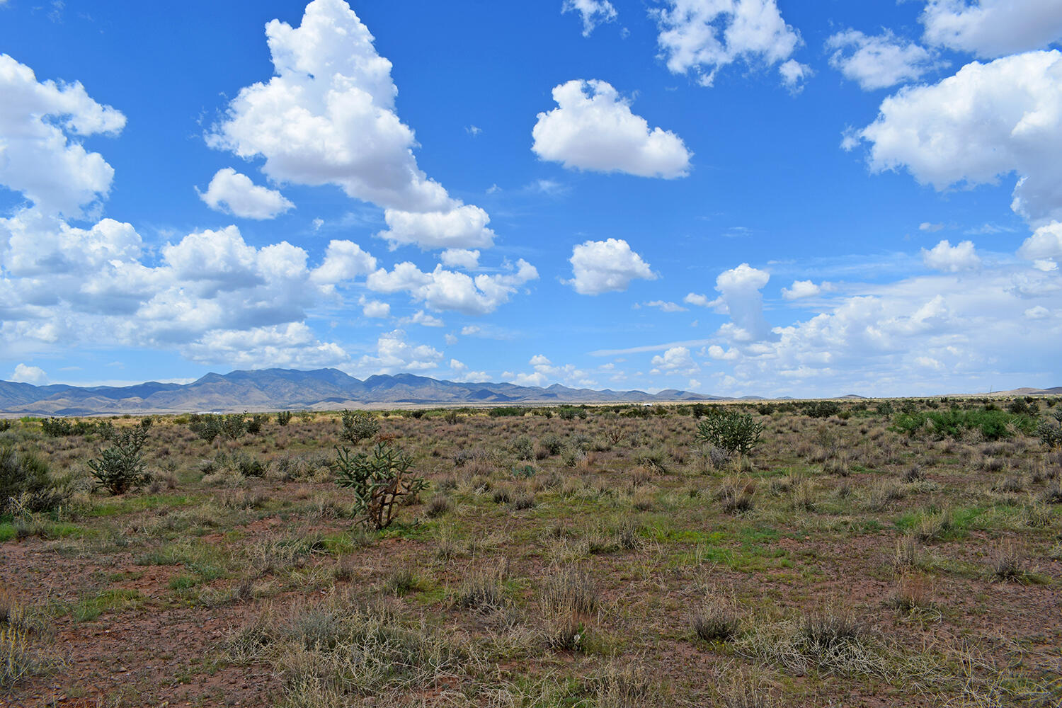 Photo 3 — 205 Muledeer Trail