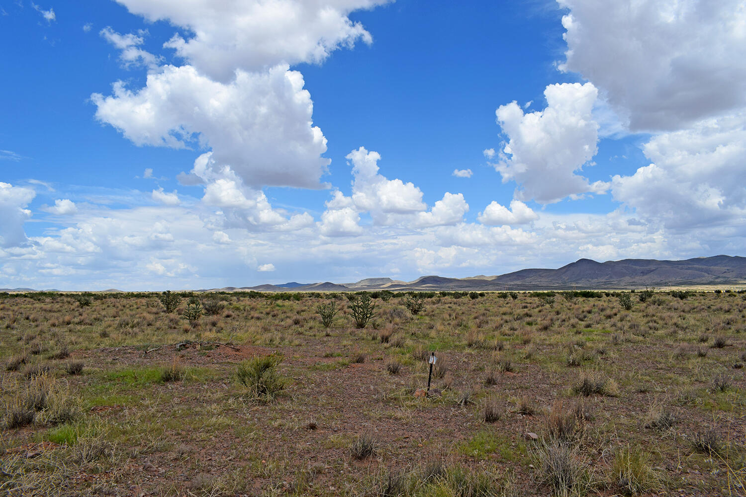 Photo 4 — 205 Muledeer Trail