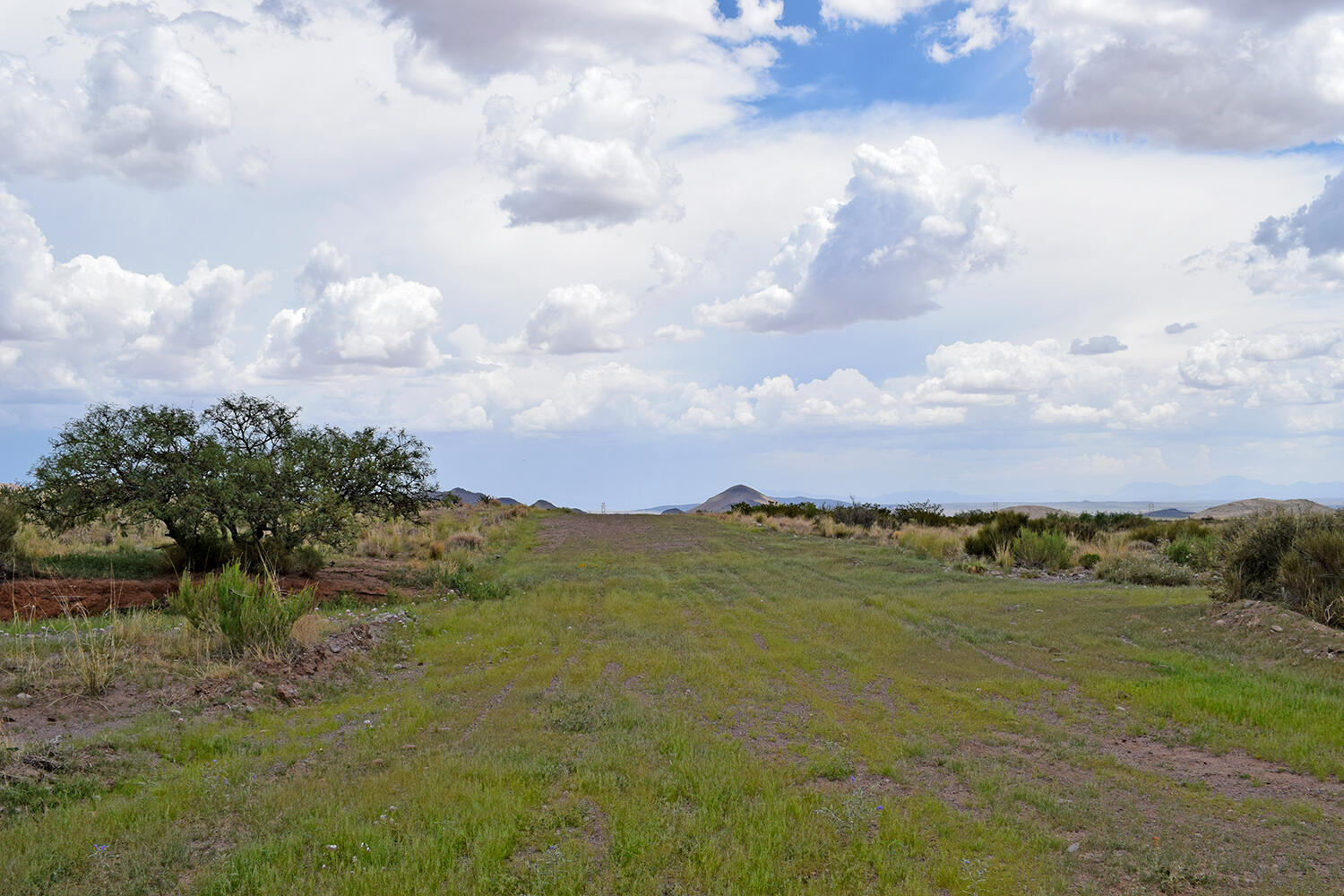 Photo 13 — 205 Muledeer Trail