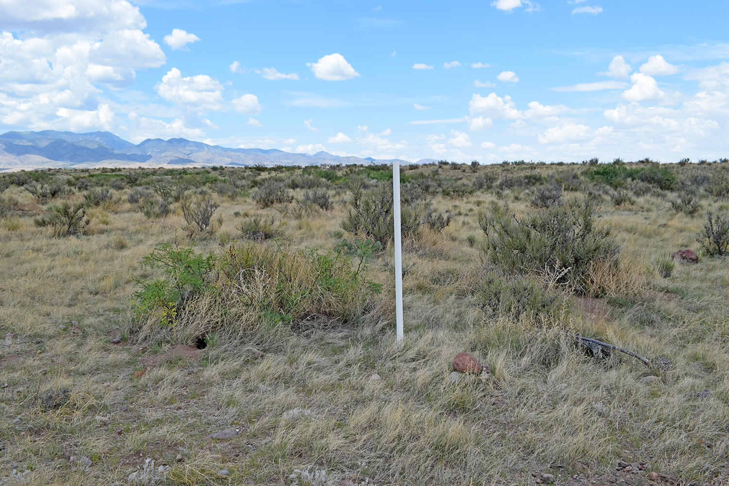 Photo 14 — 205 Muledeer Trail