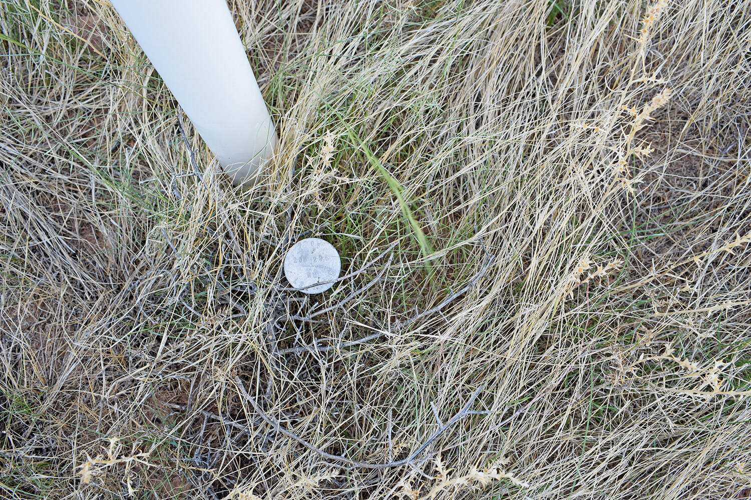 Photo 15 — 205 Muledeer Trail
