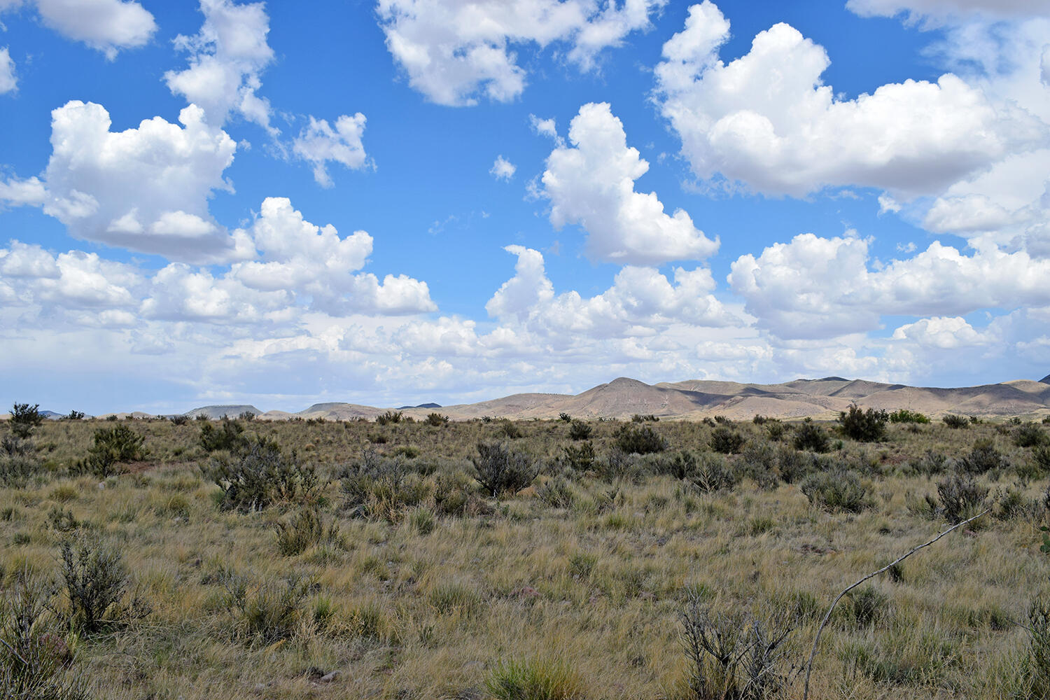 Photo 16 — 205 Muledeer Trail