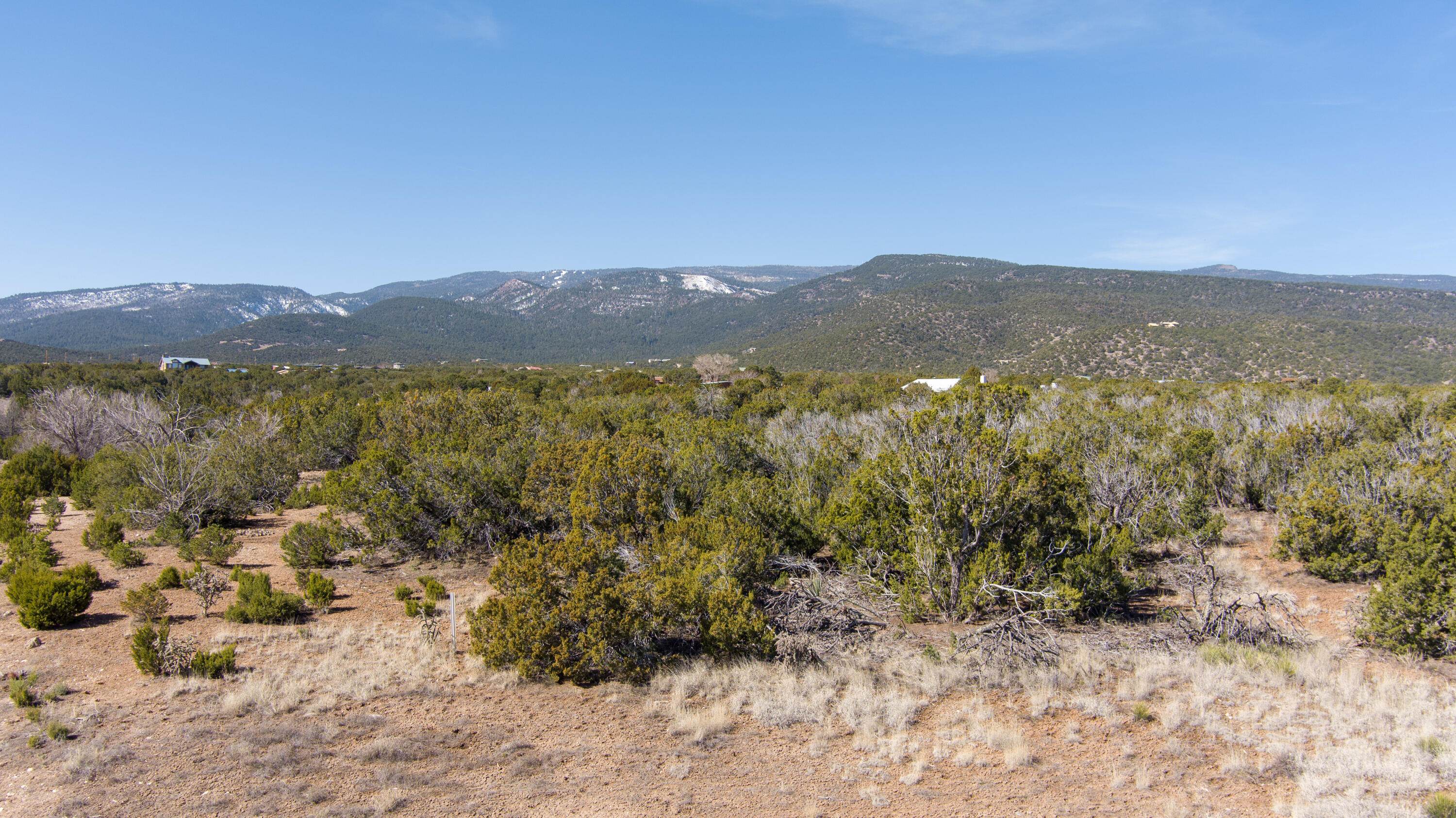 Photo 18 —  Gunsmoke Road