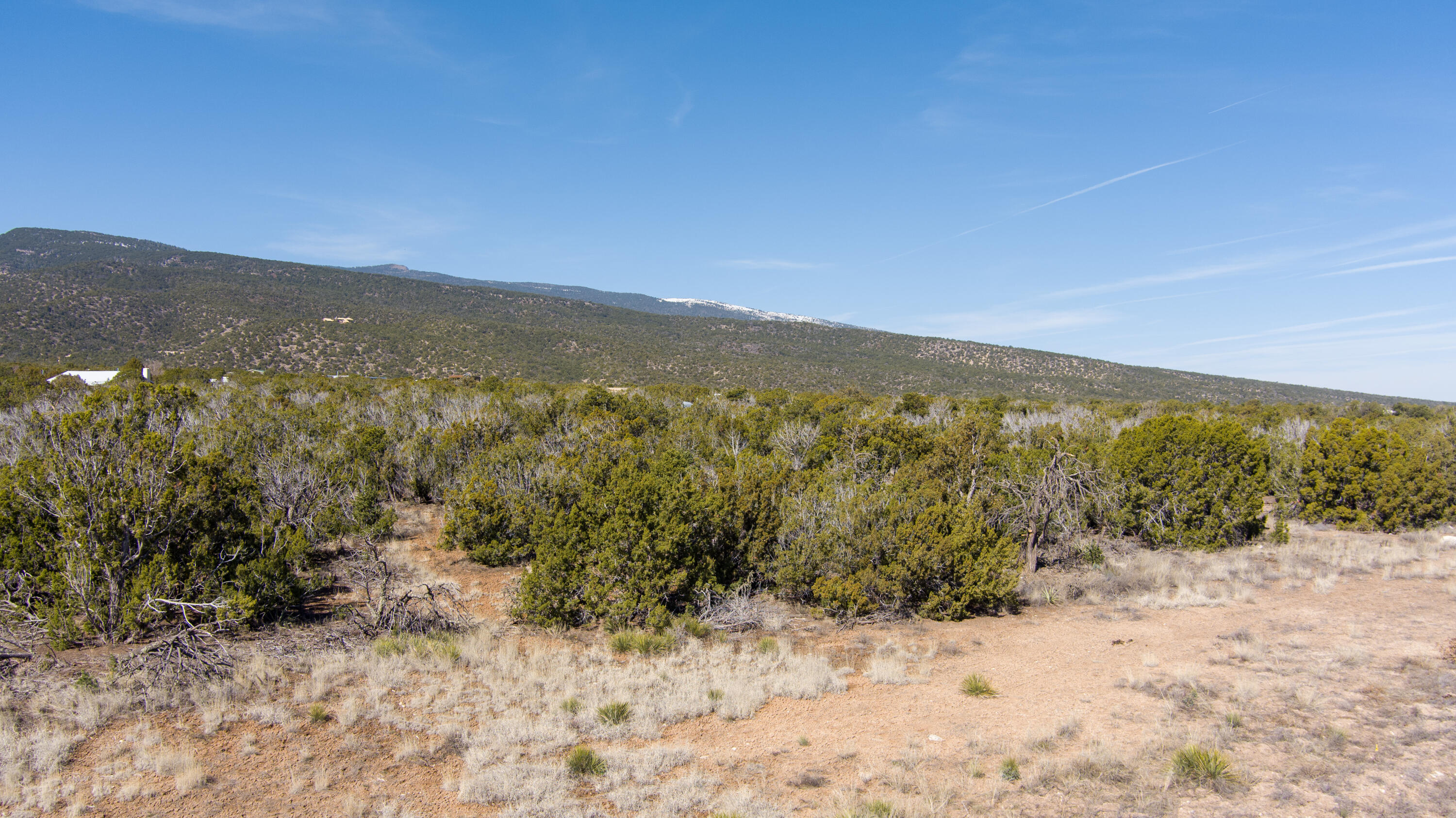 Photo 19 —  Gunsmoke Road