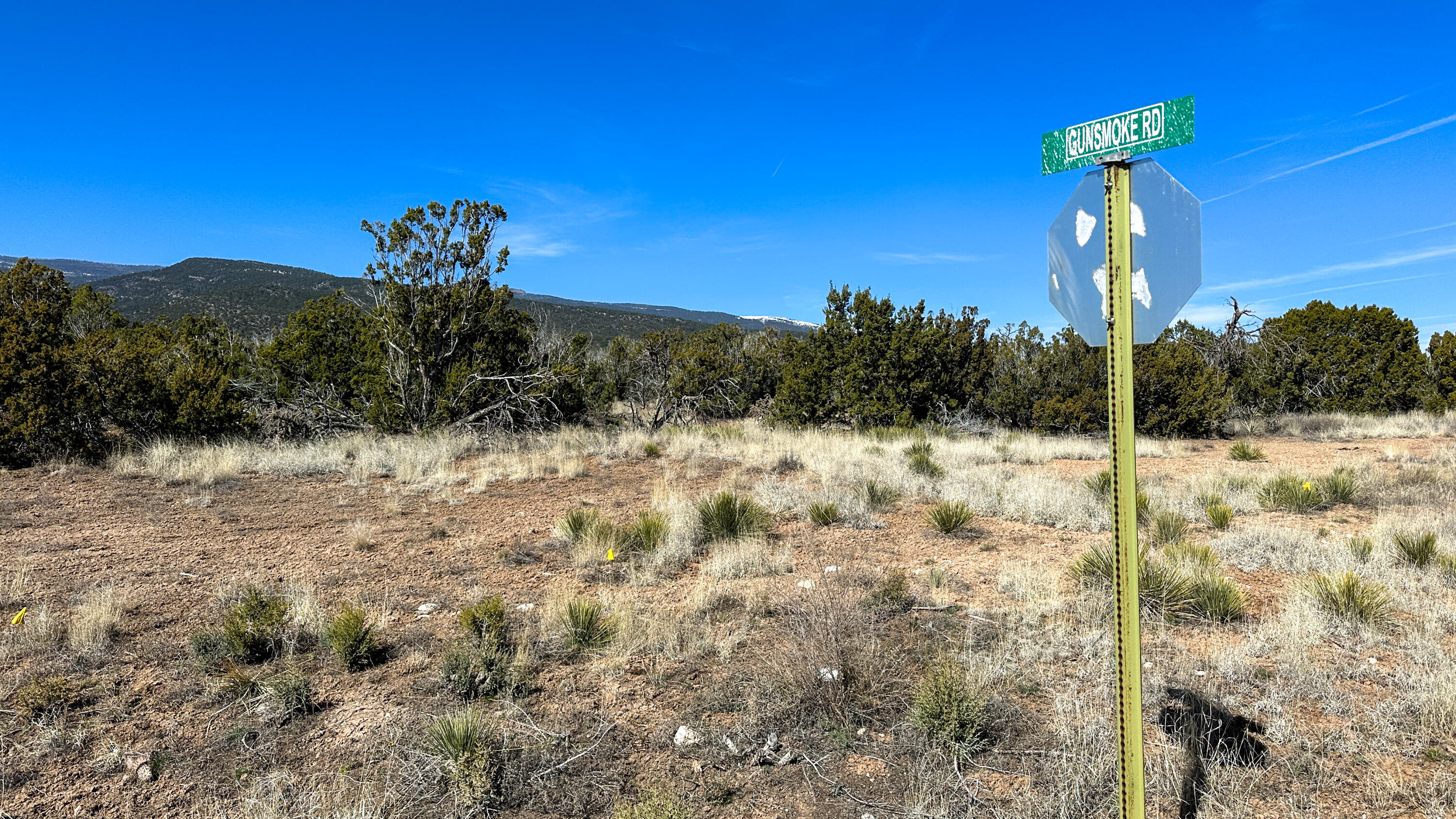 Photo 20 —  Gunsmoke Road