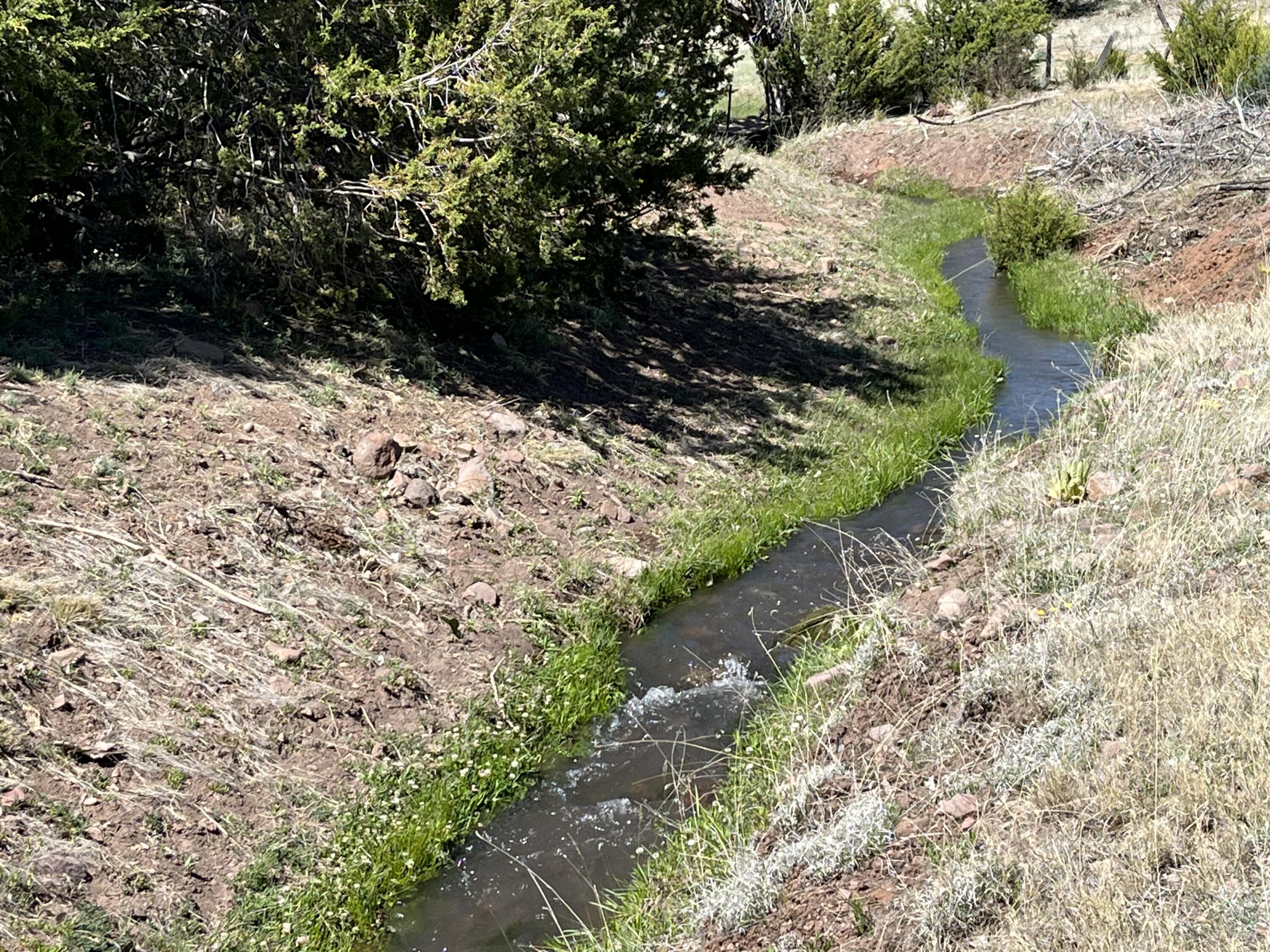 Photo 19 — 2664 Nm-12
