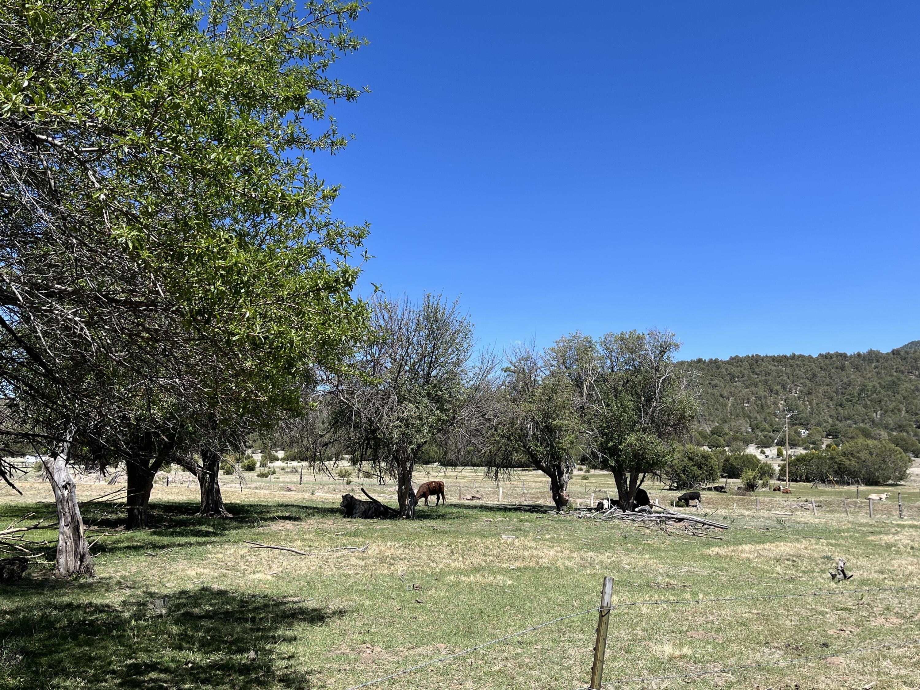 Photo 6 — 2664 Nm-12