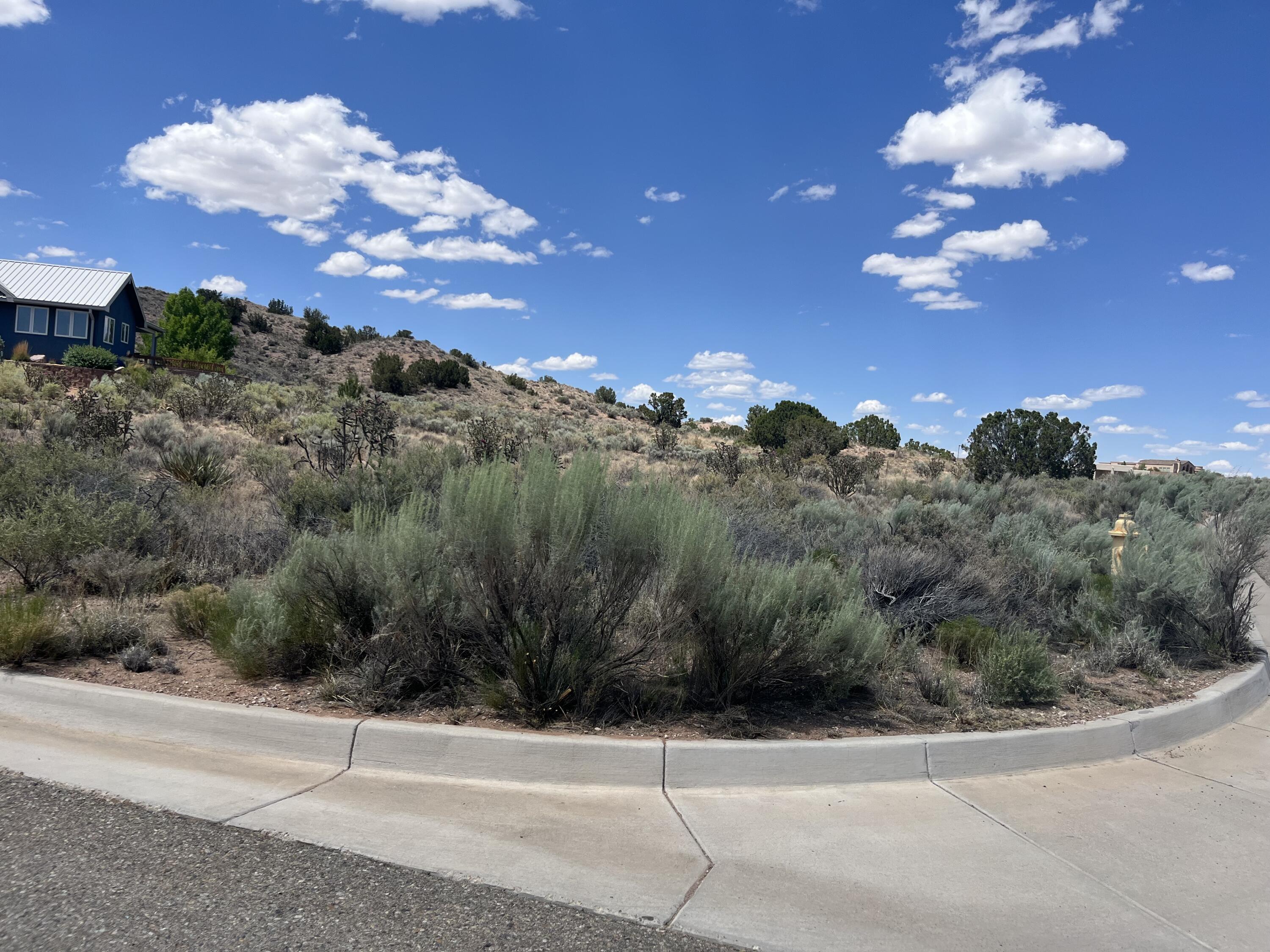 Photo 4 — 5610 Upland Meadows Road
