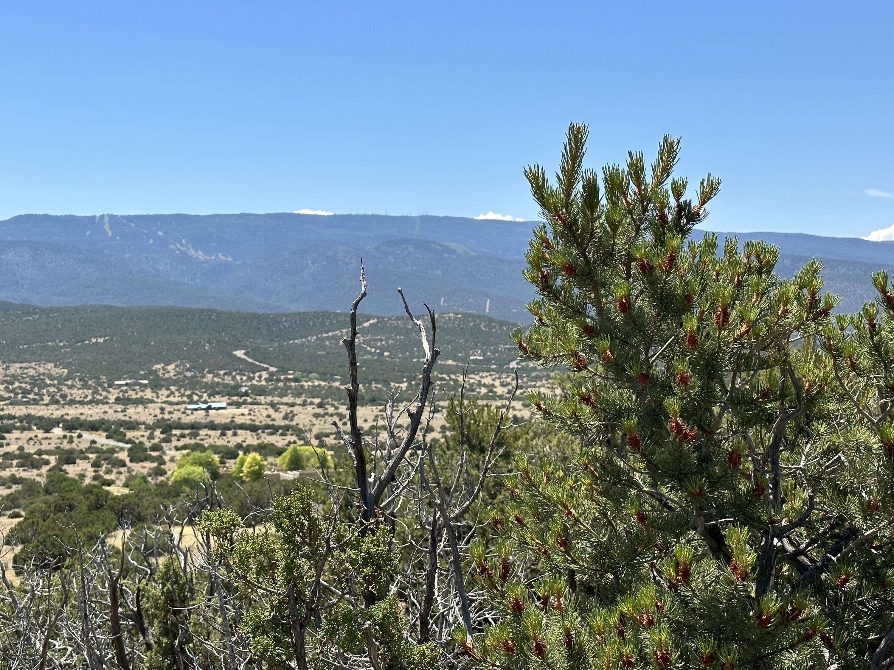 Photo 5 — 24 La Cantera