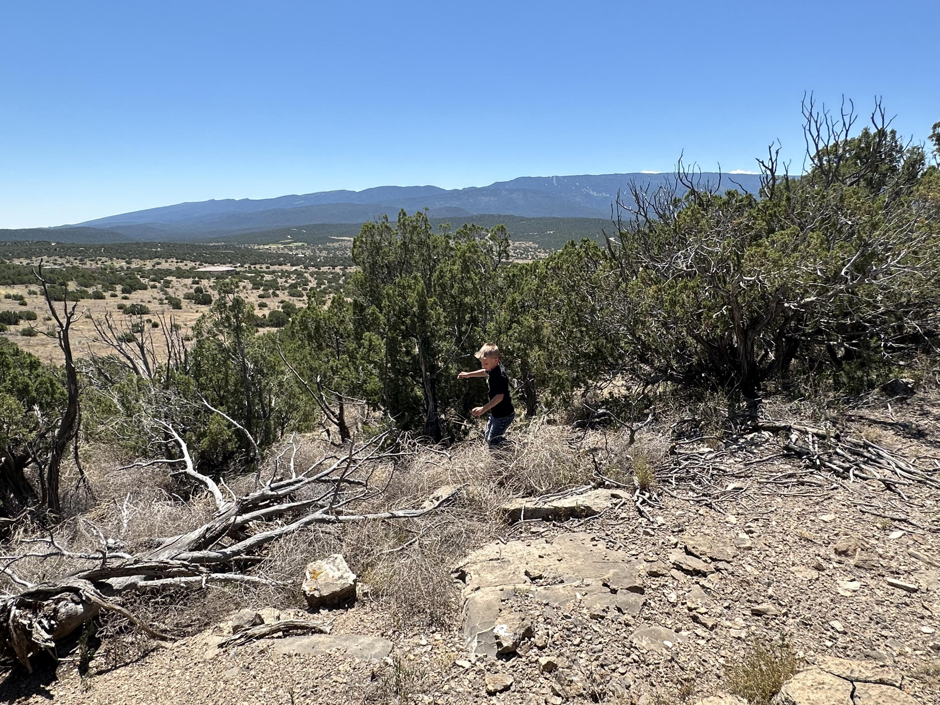 Photo 12 — 24 La Cantera
