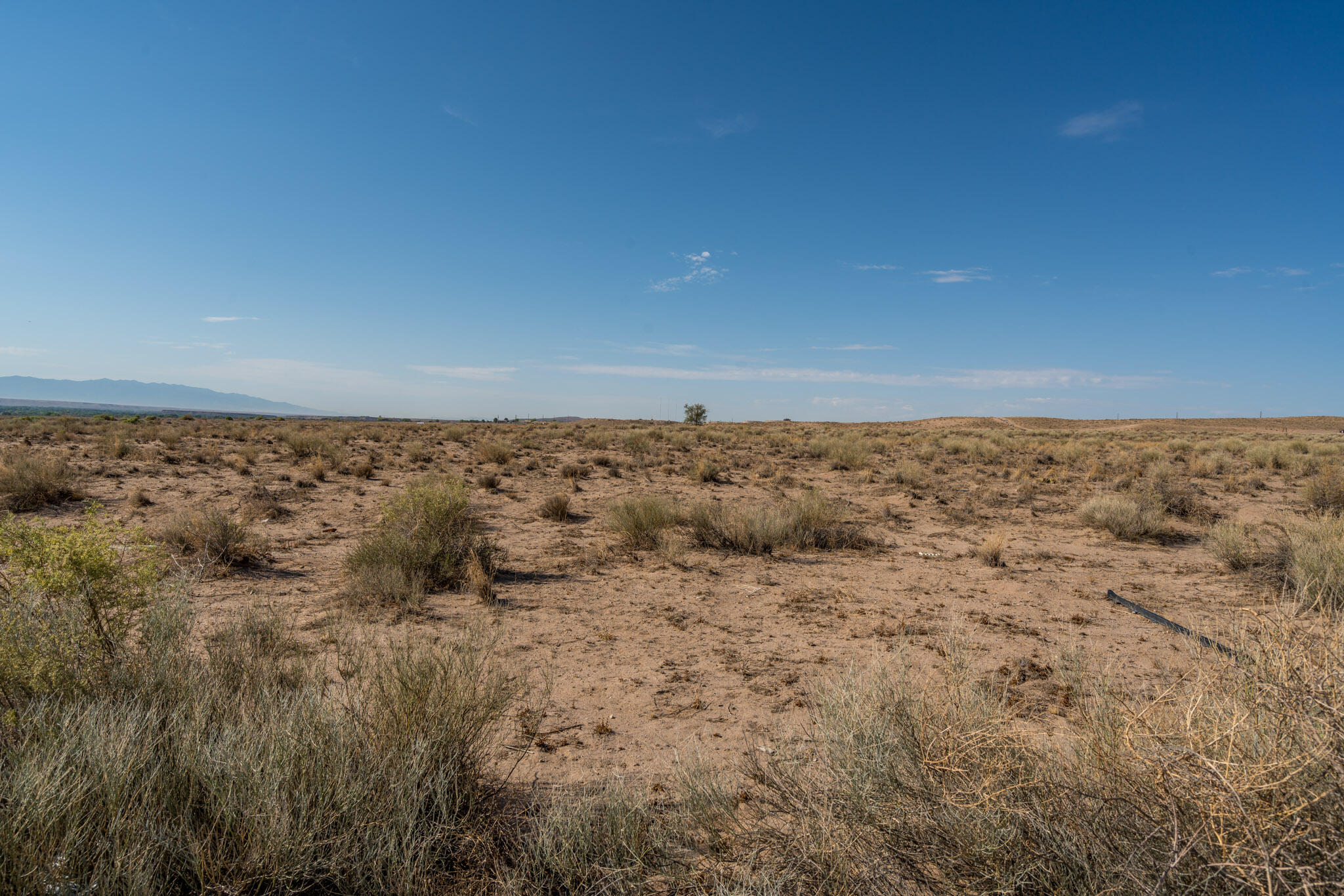 Photo 20 —  Pajarito And Douglas Road SW