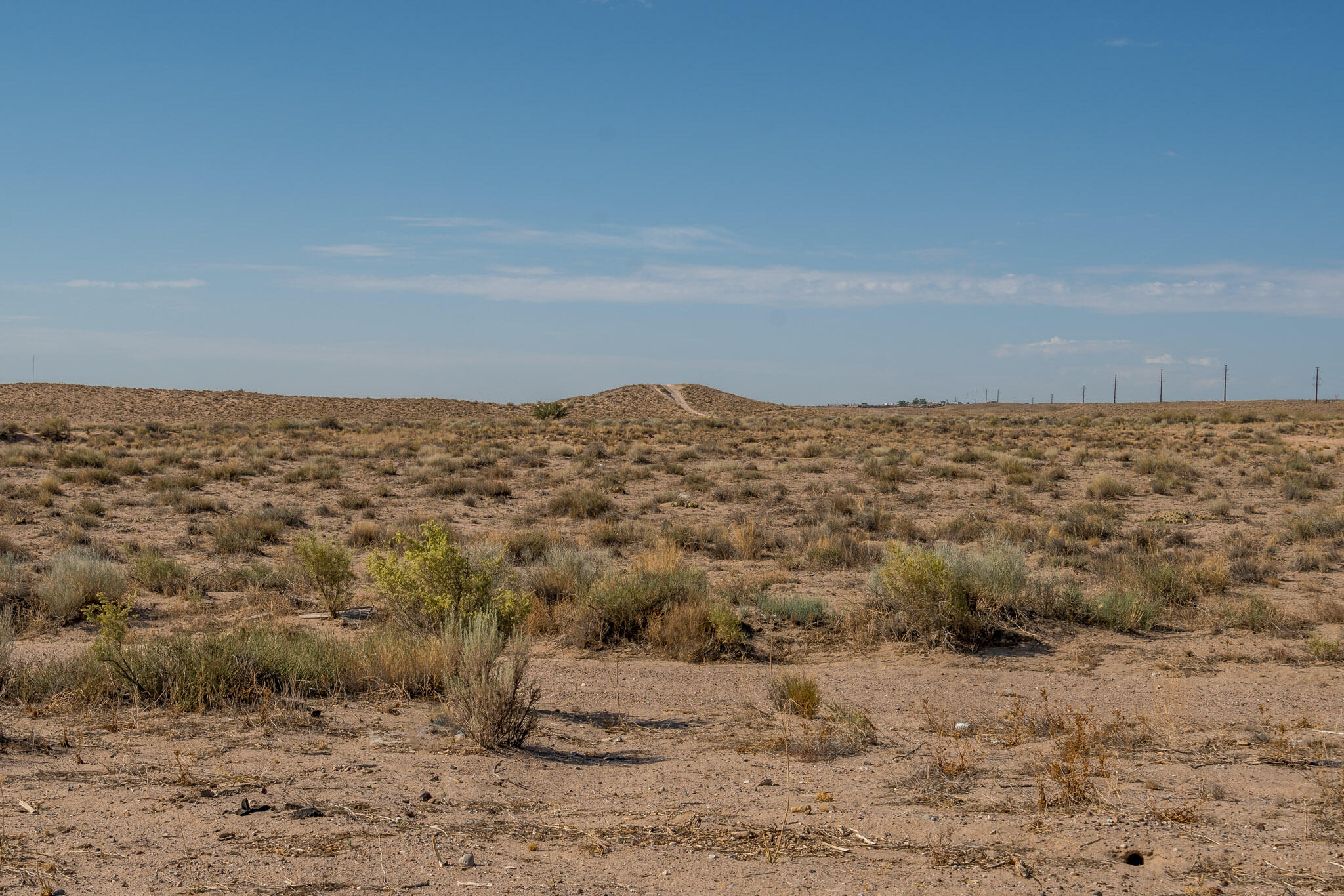 Photo 18 —  Pajarito And Douglas Road SW