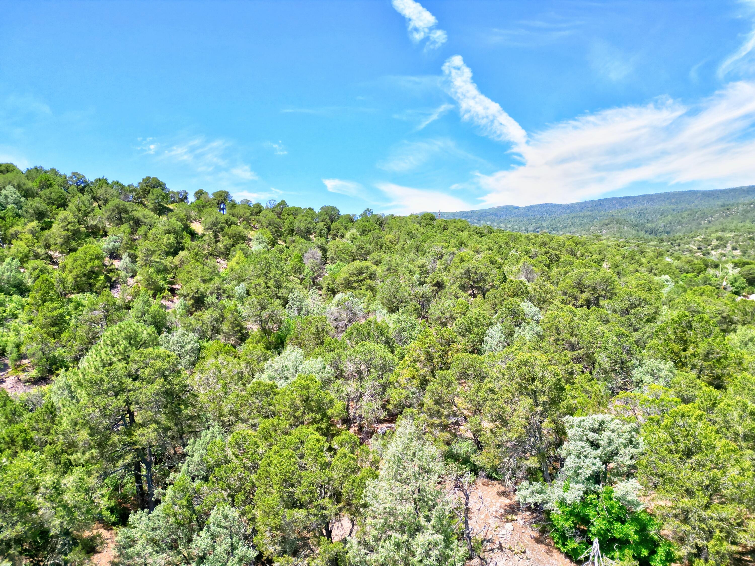 Photo 10 — 12141 Nm State 14