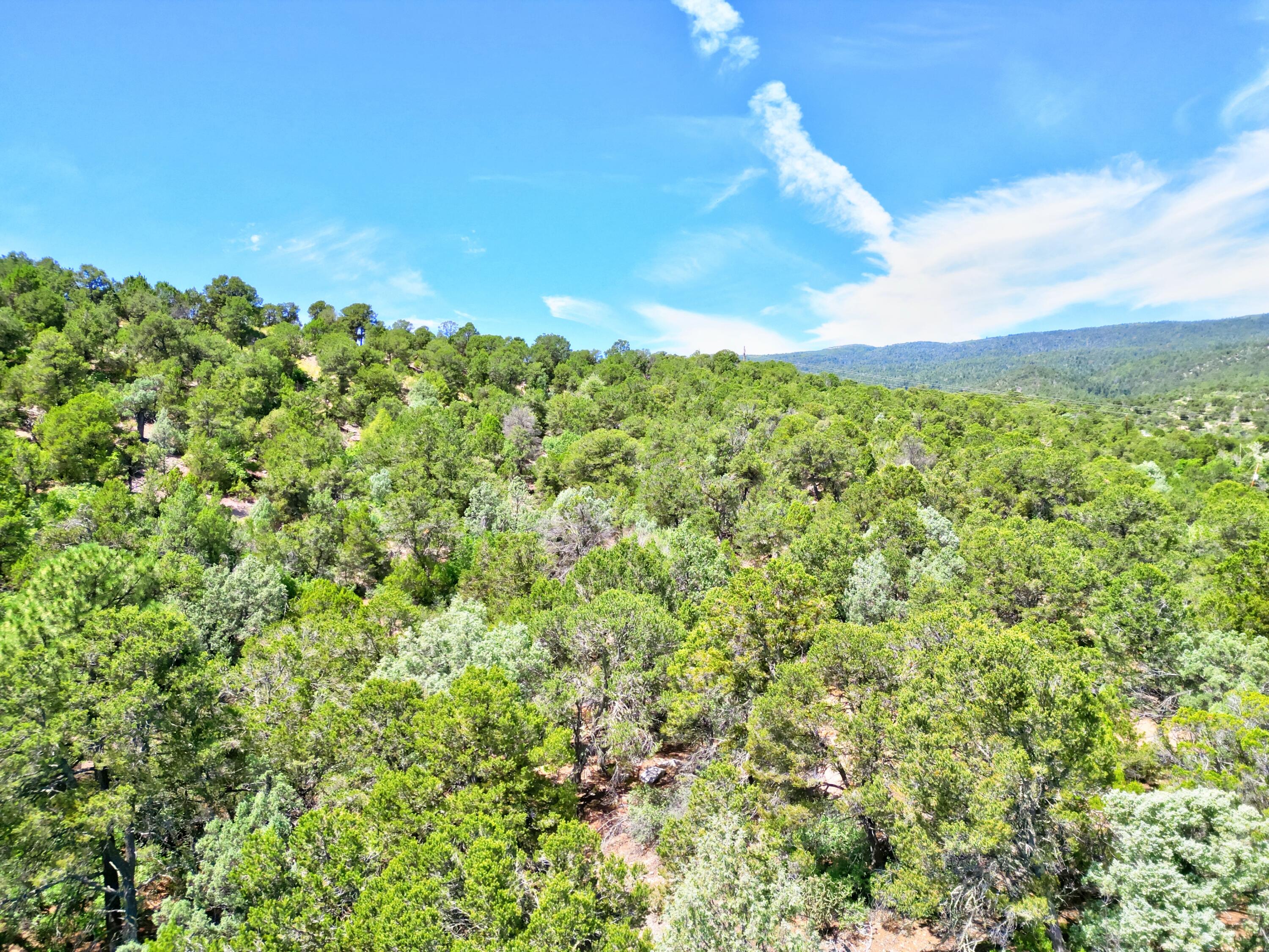 Photo 9 — 12141 Nm State 14