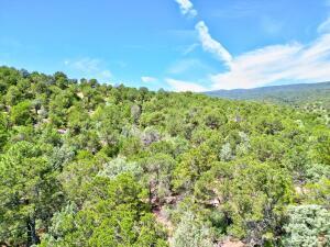 Photo 11 — 12141 Nm-14