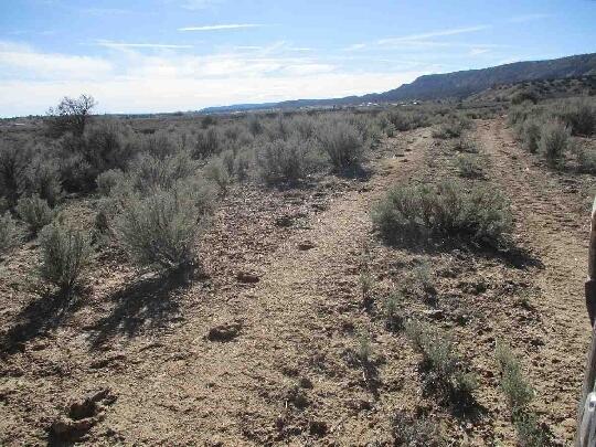 Photo 6 —  Cubita - Cuba Mesa Road