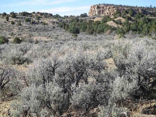 Photo 10 —  Cubita - Cuba Mesa Road