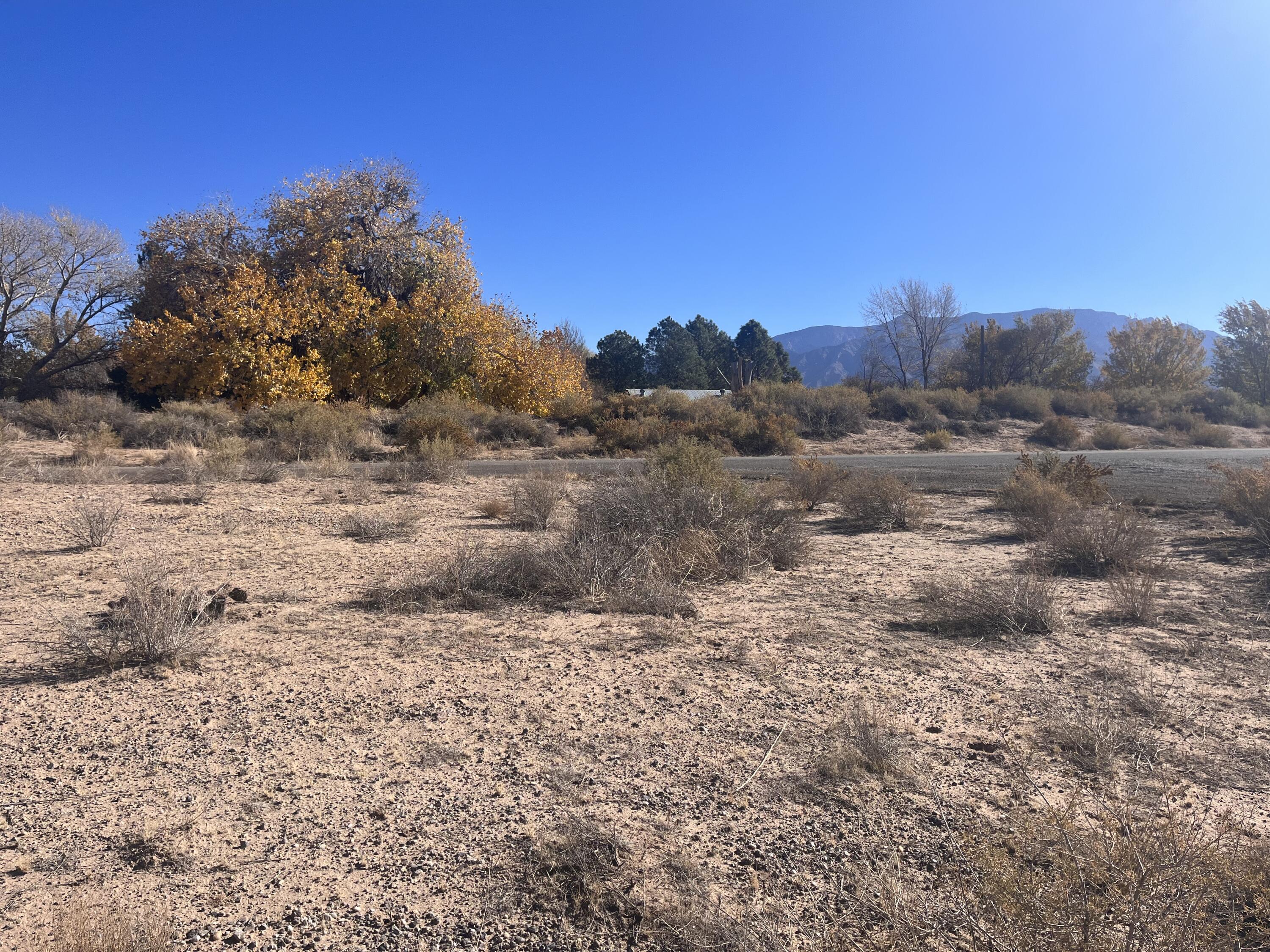 Photo 3 —  3.44 Ac Mesa Alta Subdvn Tbd
