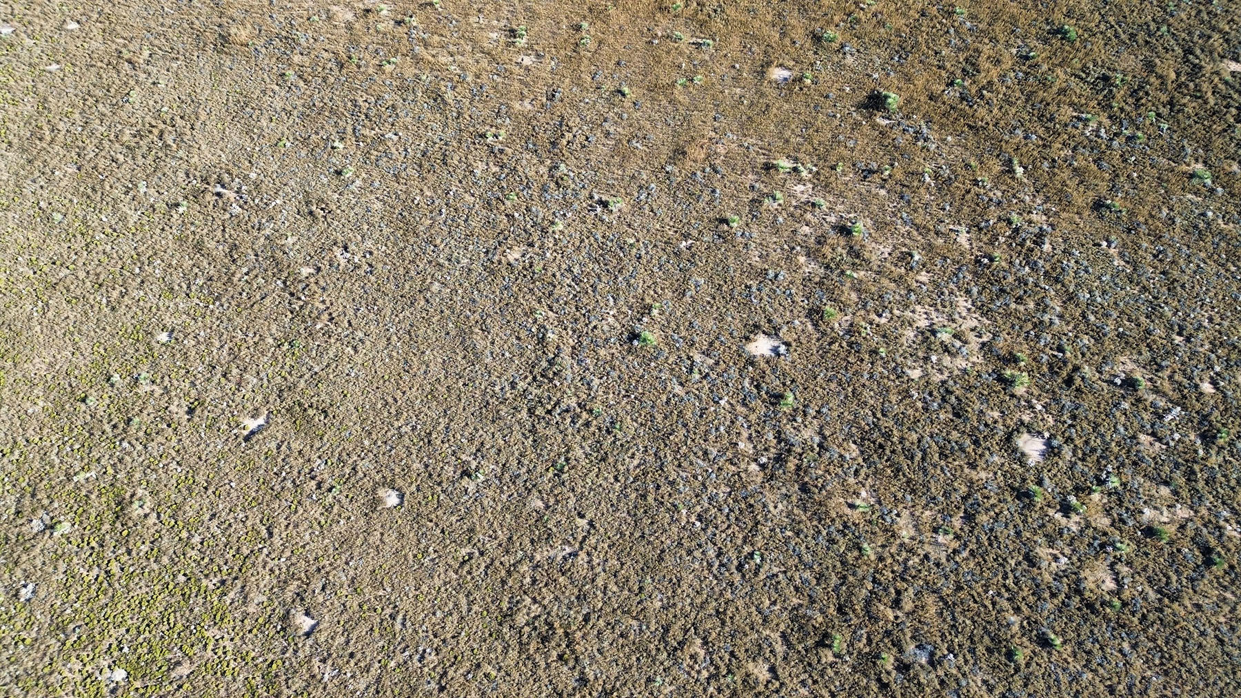 Photo 8 — Lot 4 Sandia Drive