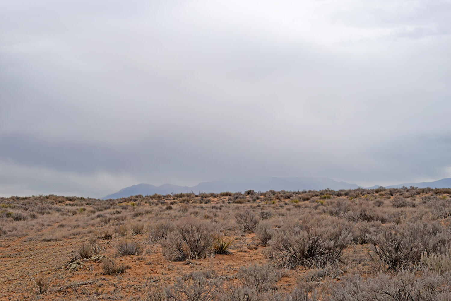 Photo 16 — Lot 6 Rio Grande Estates V