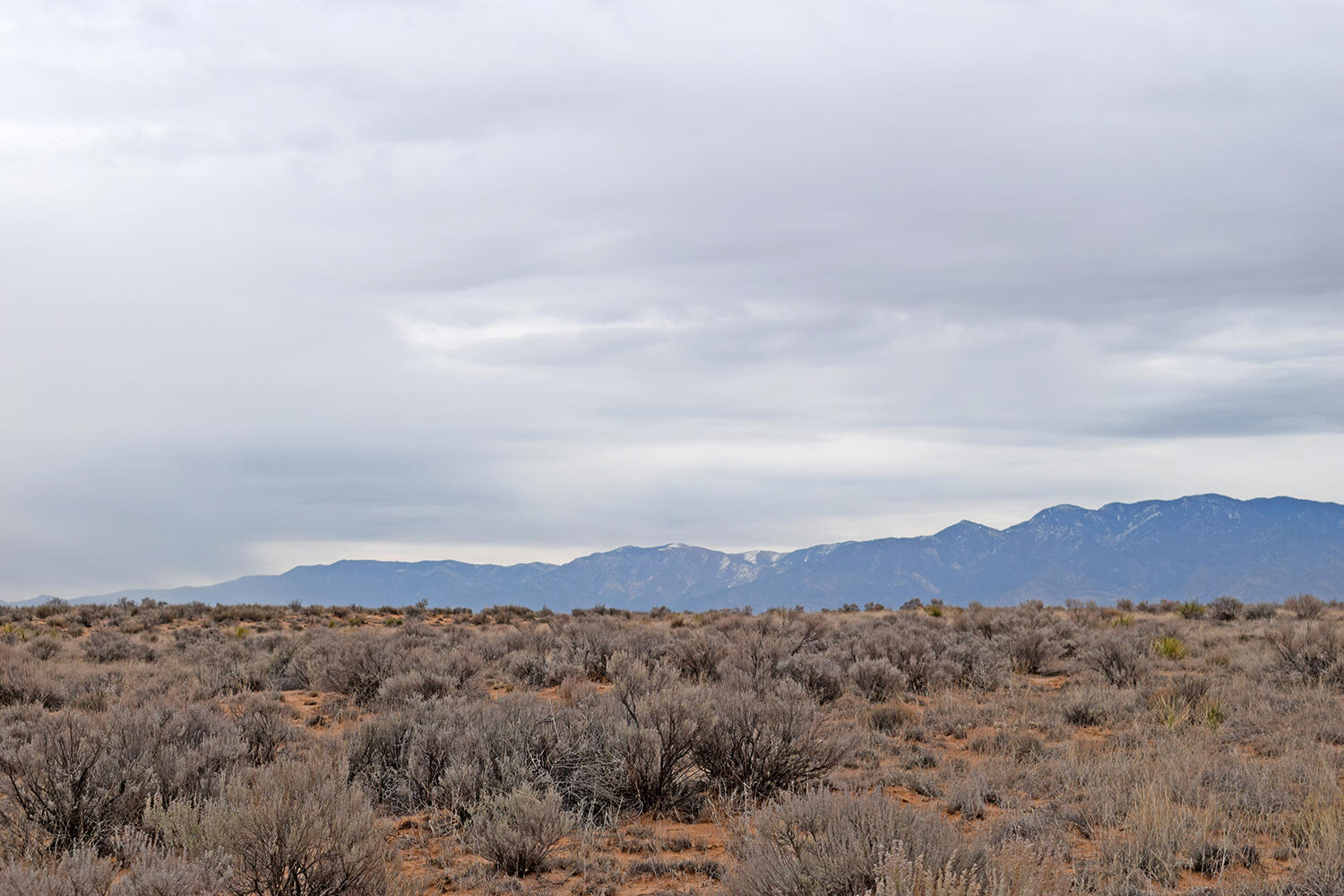 Photo 17 — Lot 6 Rio Grande Estates V