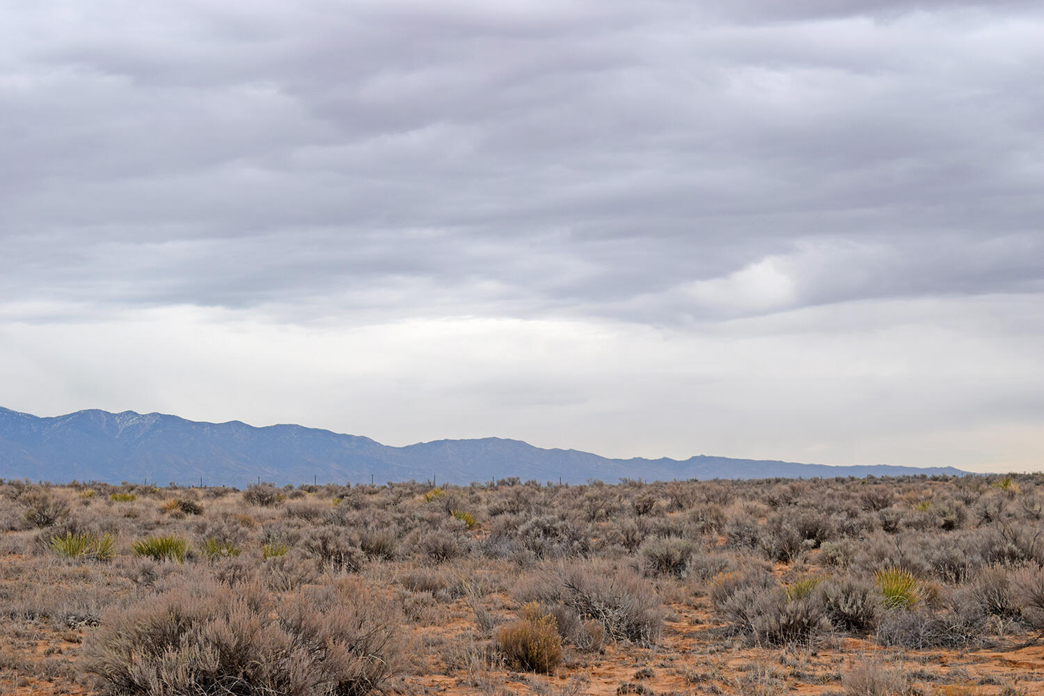 Photo 2 — Lot 6 Rio Grande Estates V