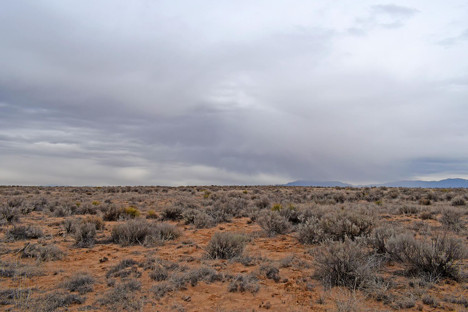 Photo 19 — Lot 6 Rio Grande Estates V