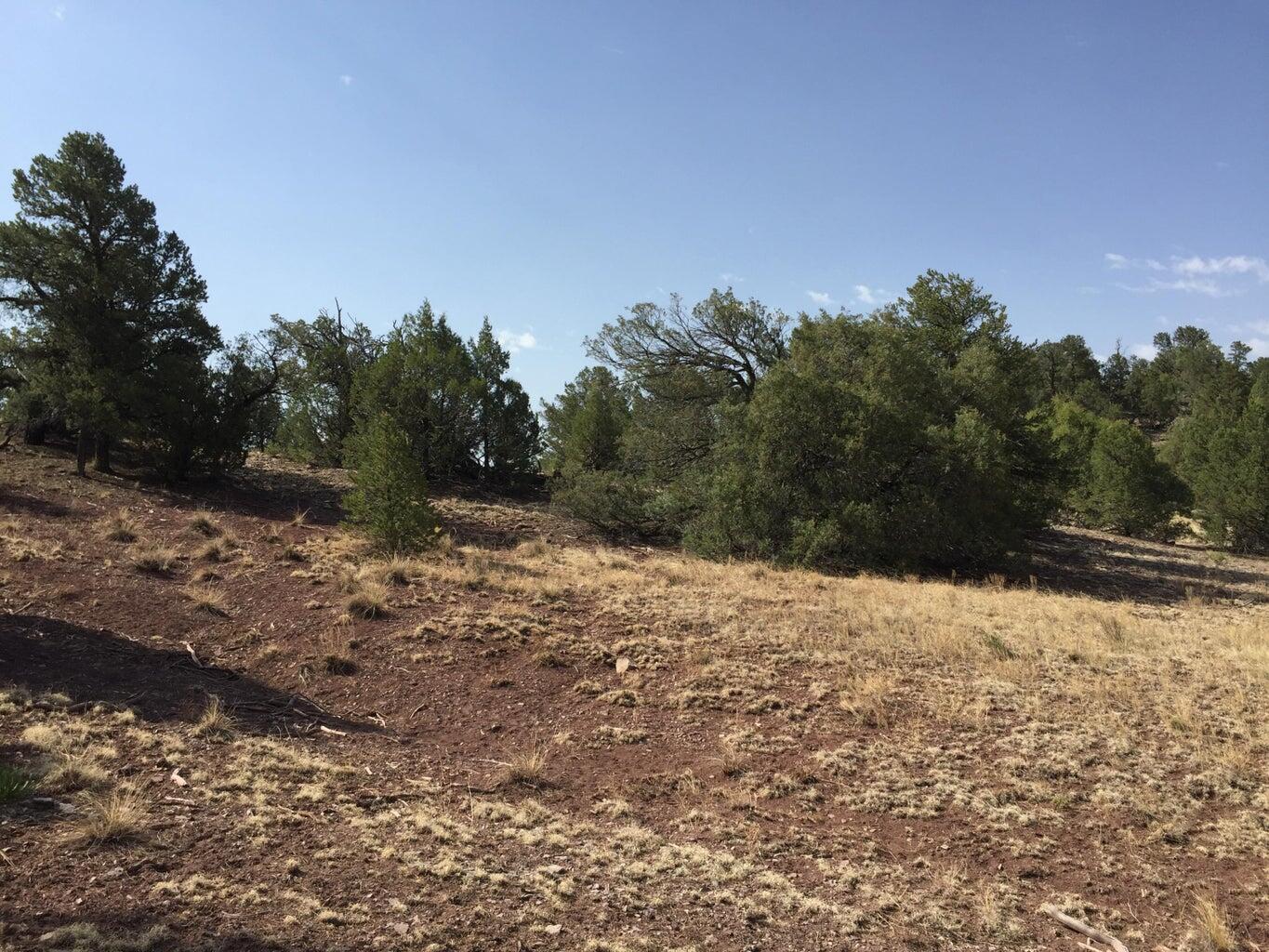 Photo 2 — Lot 3 Sunflower Drive