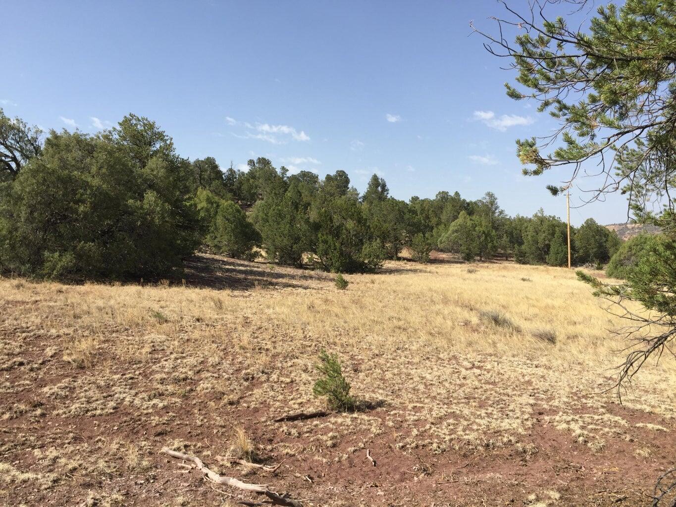 Photo 3 — Lot 3 Sunflower Drive