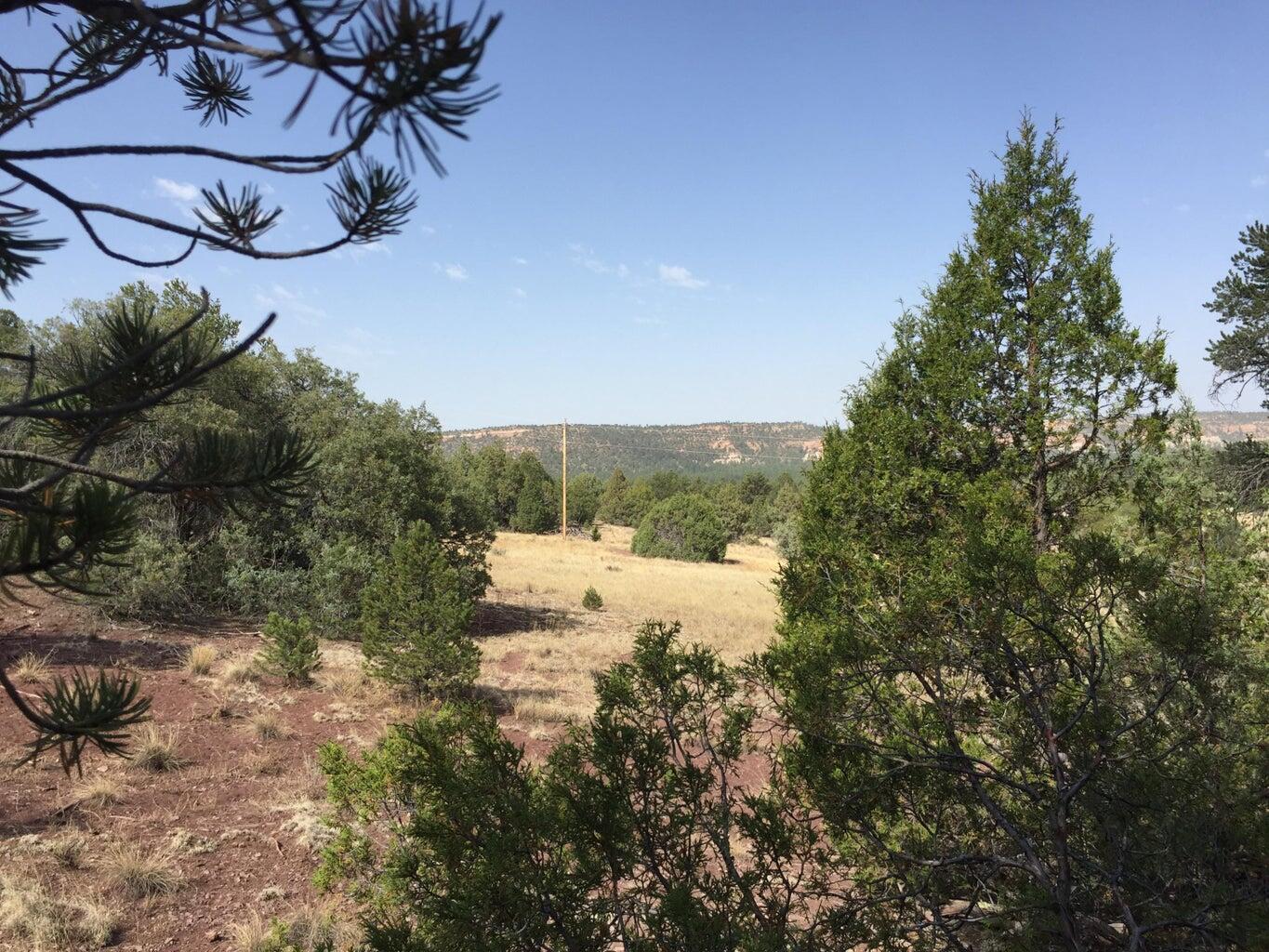 Photo 4 — Lot 3 Sunflower Drive