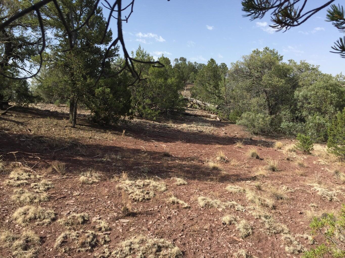 Photo 5 — Lot 3 Sunflower Drive