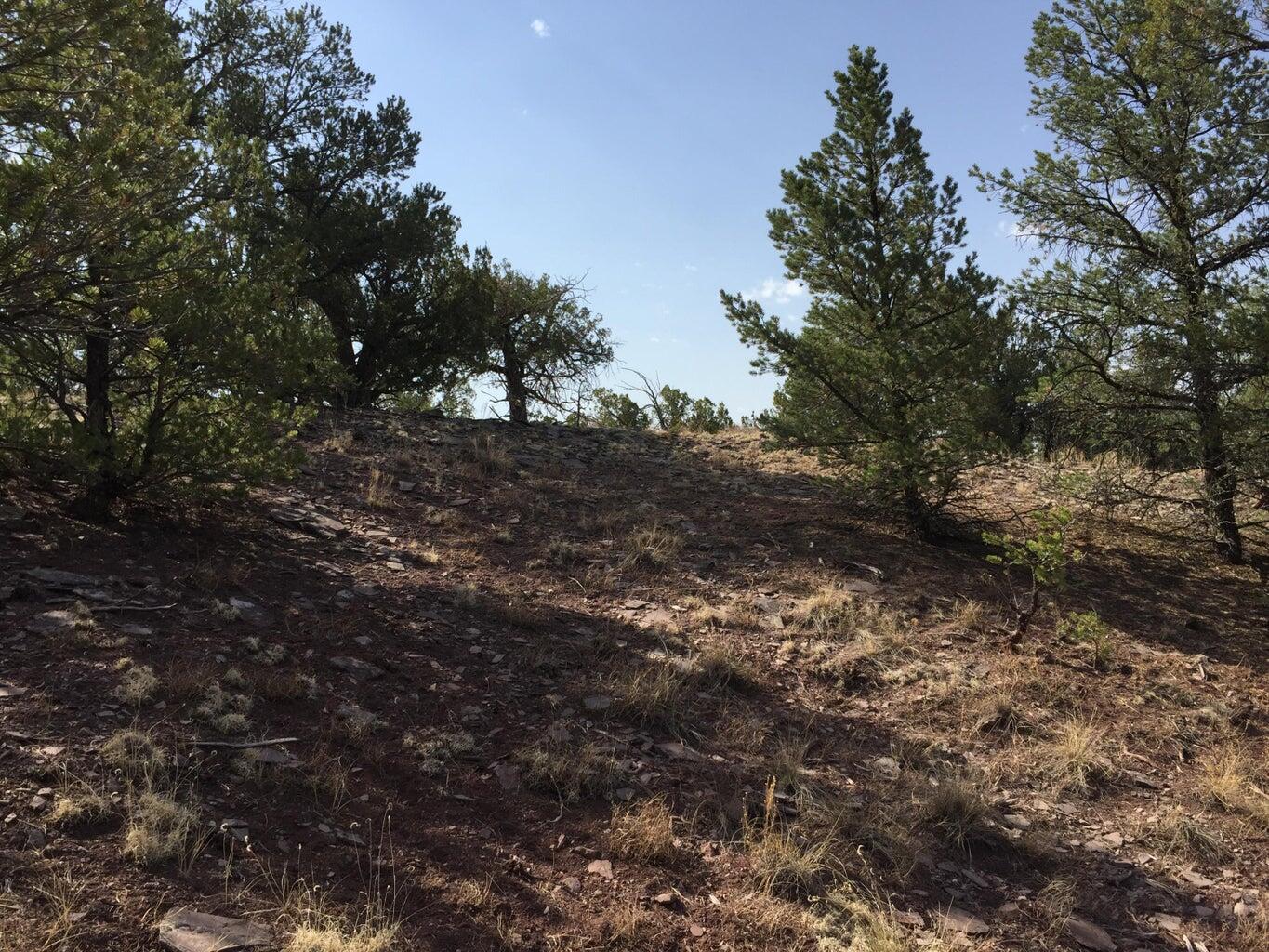 Photo 6 — Lot 3 Sunflower Drive