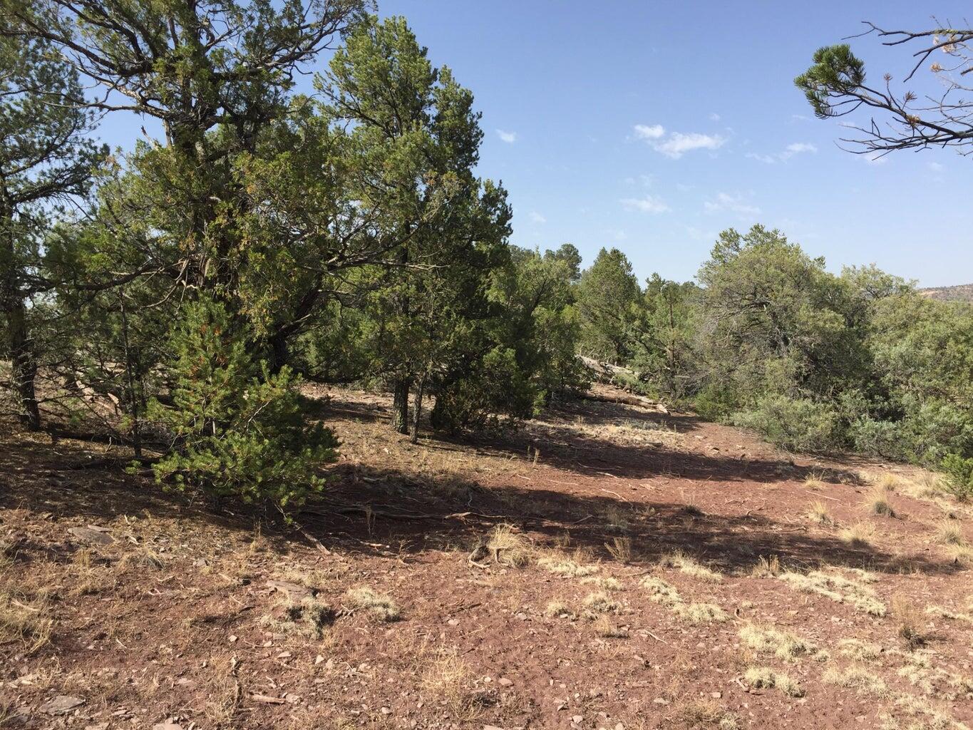 Photo 7 — Lot 3 Sunflower Drive