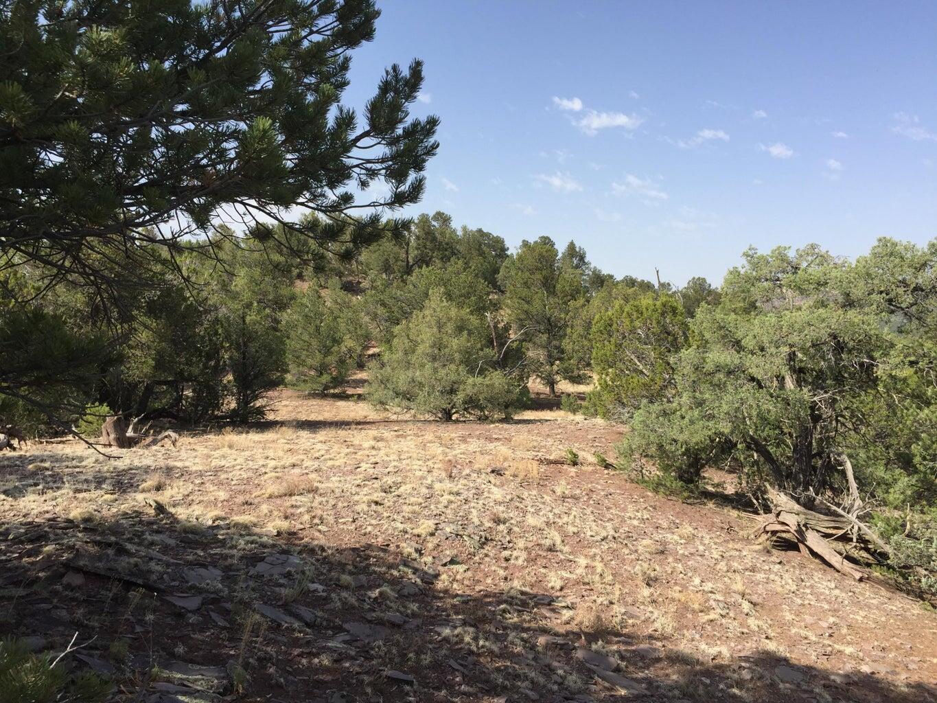 Photo 8 — Lot 3 Sunflower Drive