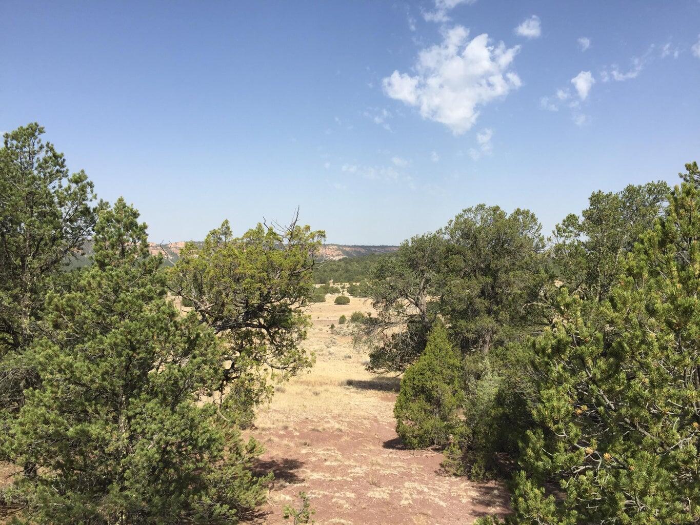 Photo 9 — Lot 3 Sunflower Drive