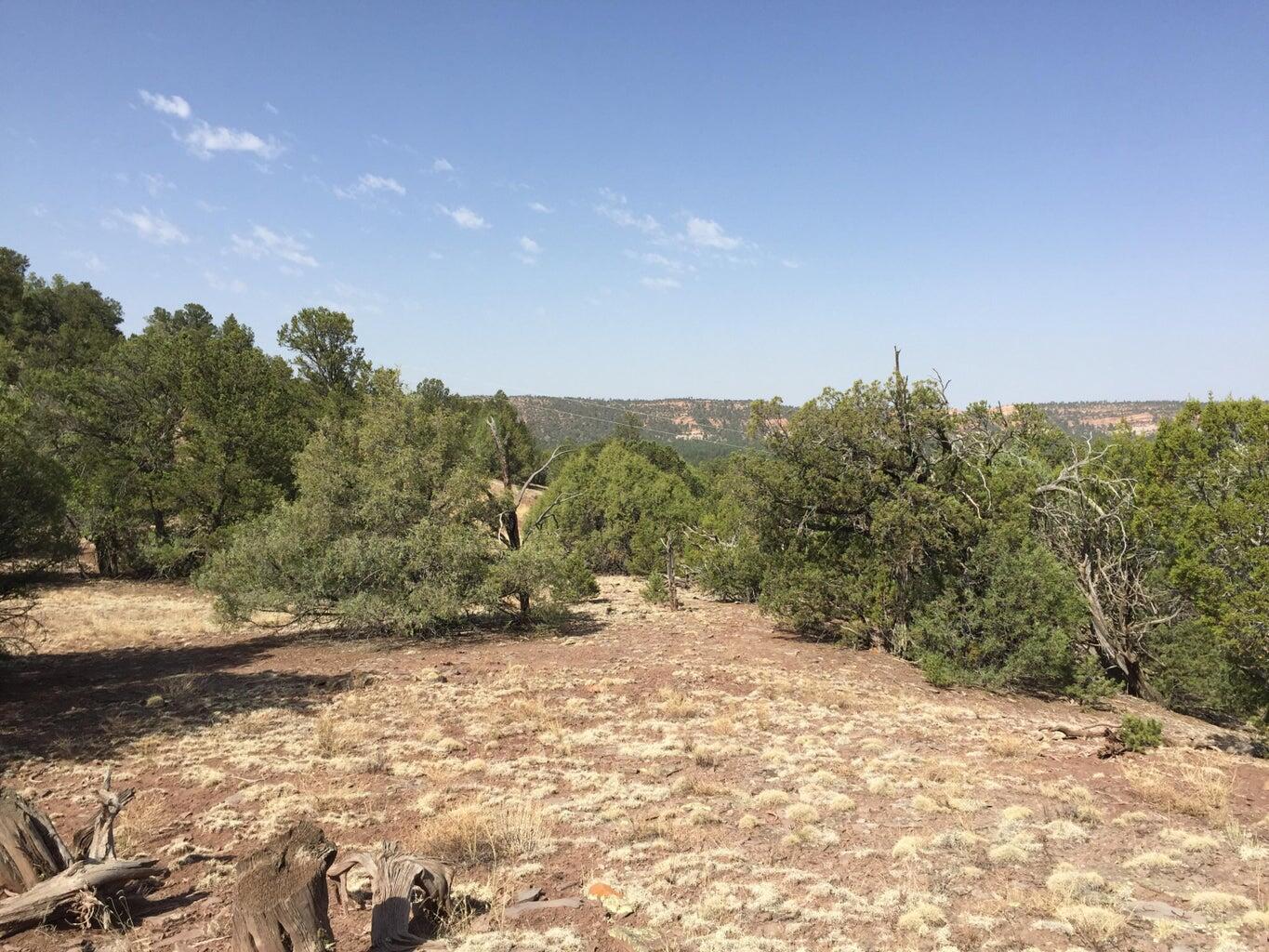 Photo 10 — Lot 3 Sunflower Drive