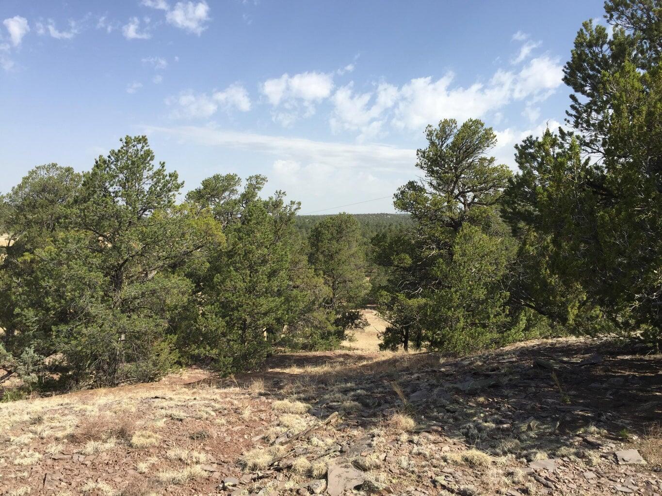 Photo 11 — Lot 3 Sunflower Drive
