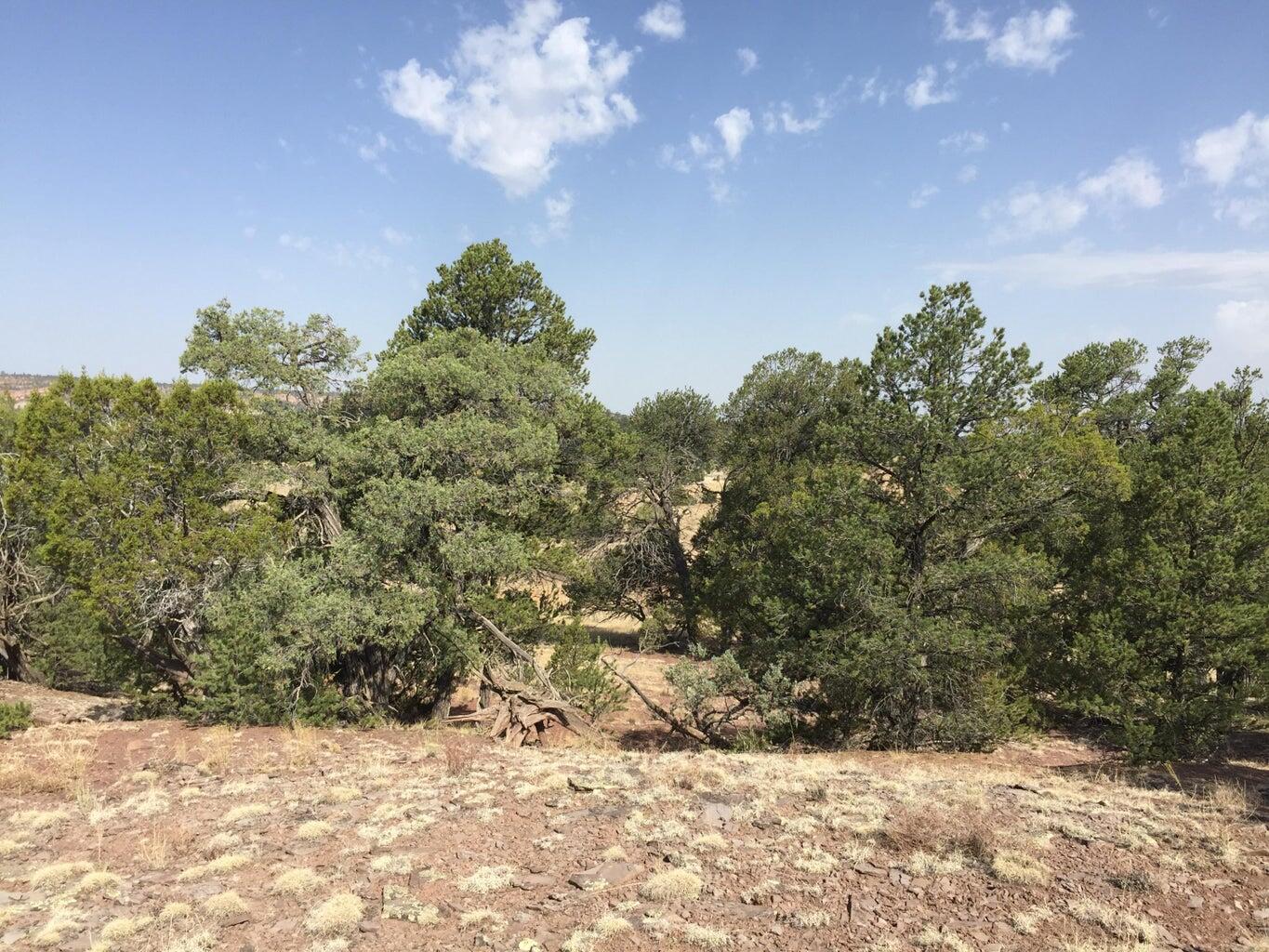 Photo 12 — Lot 3 Sunflower Drive