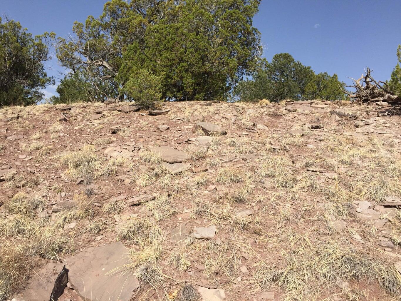 Photo 14 — Lot 3 Sunflower Drive