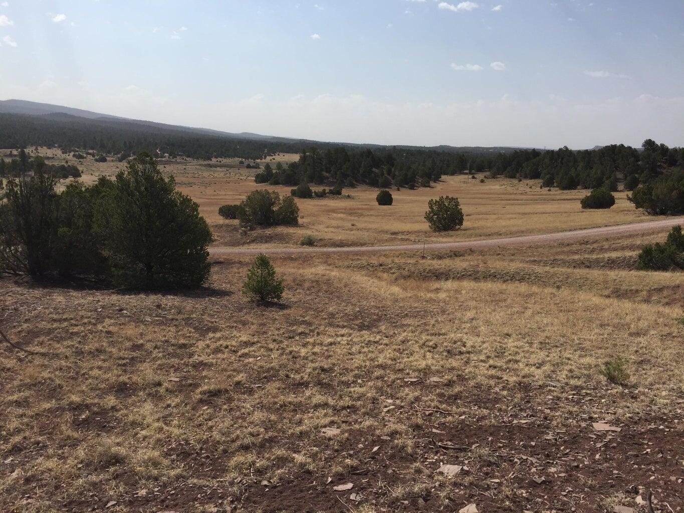 Photo 17 — Lot 3 Sunflower Drive
