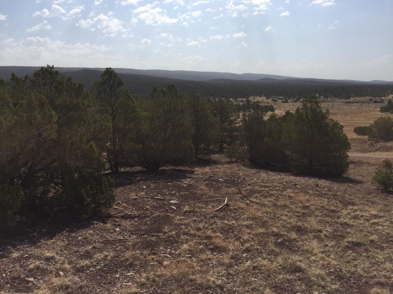Photo 18 — Lot 3 Sunflower Drive