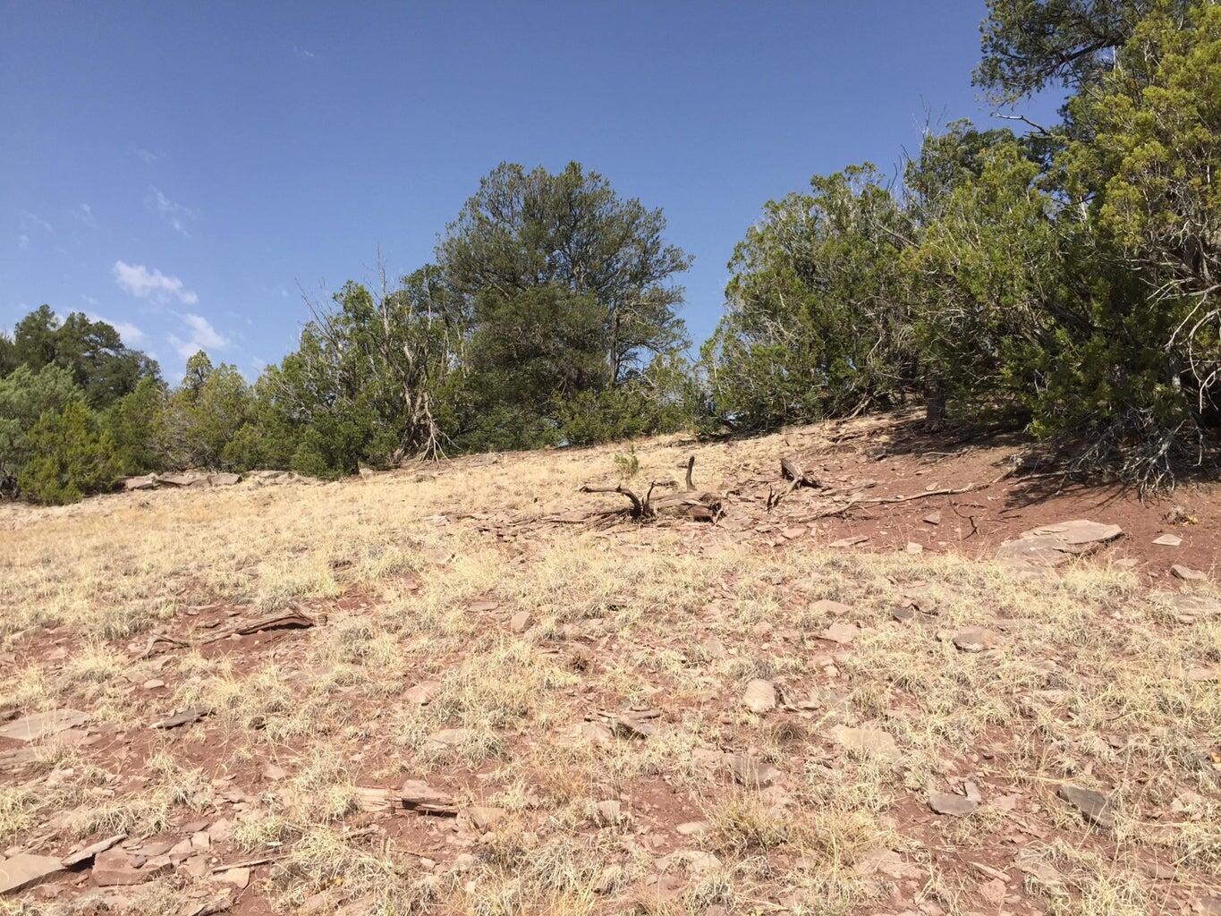 Photo 19 — Lot 3 Sunflower Drive