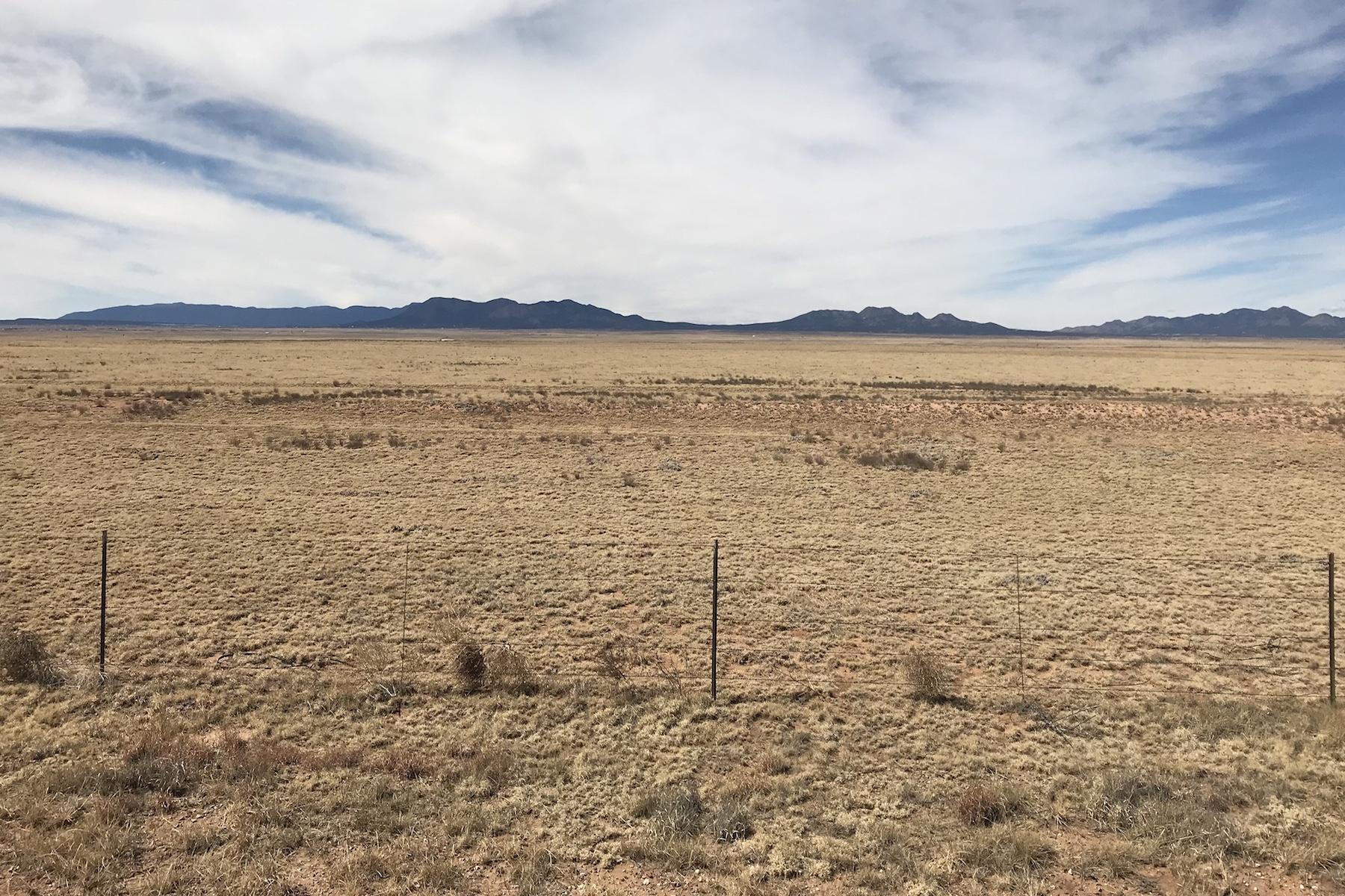 Photo 3 — 3920 Highway 41
