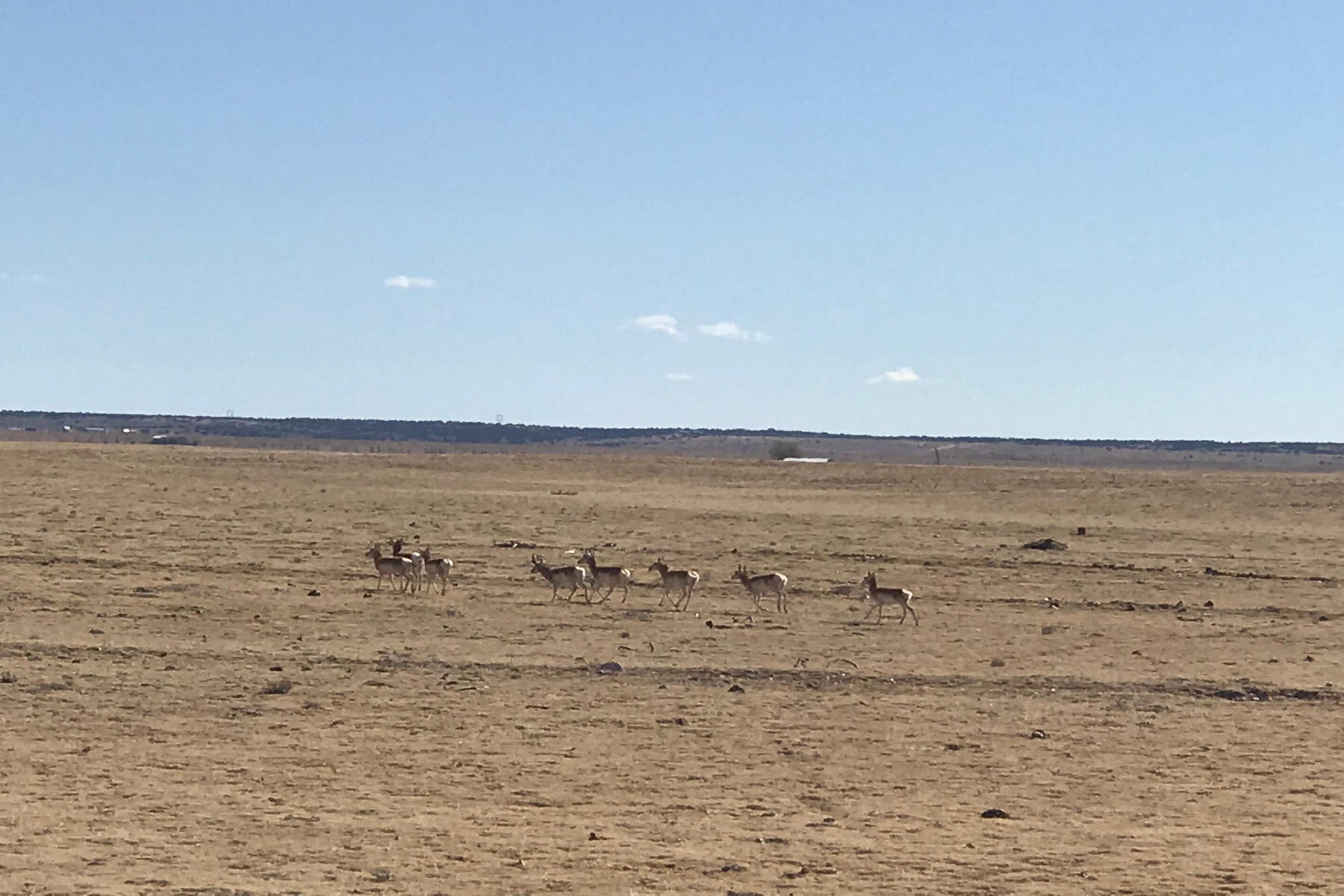 Photo 2 — 3920 Highway 41