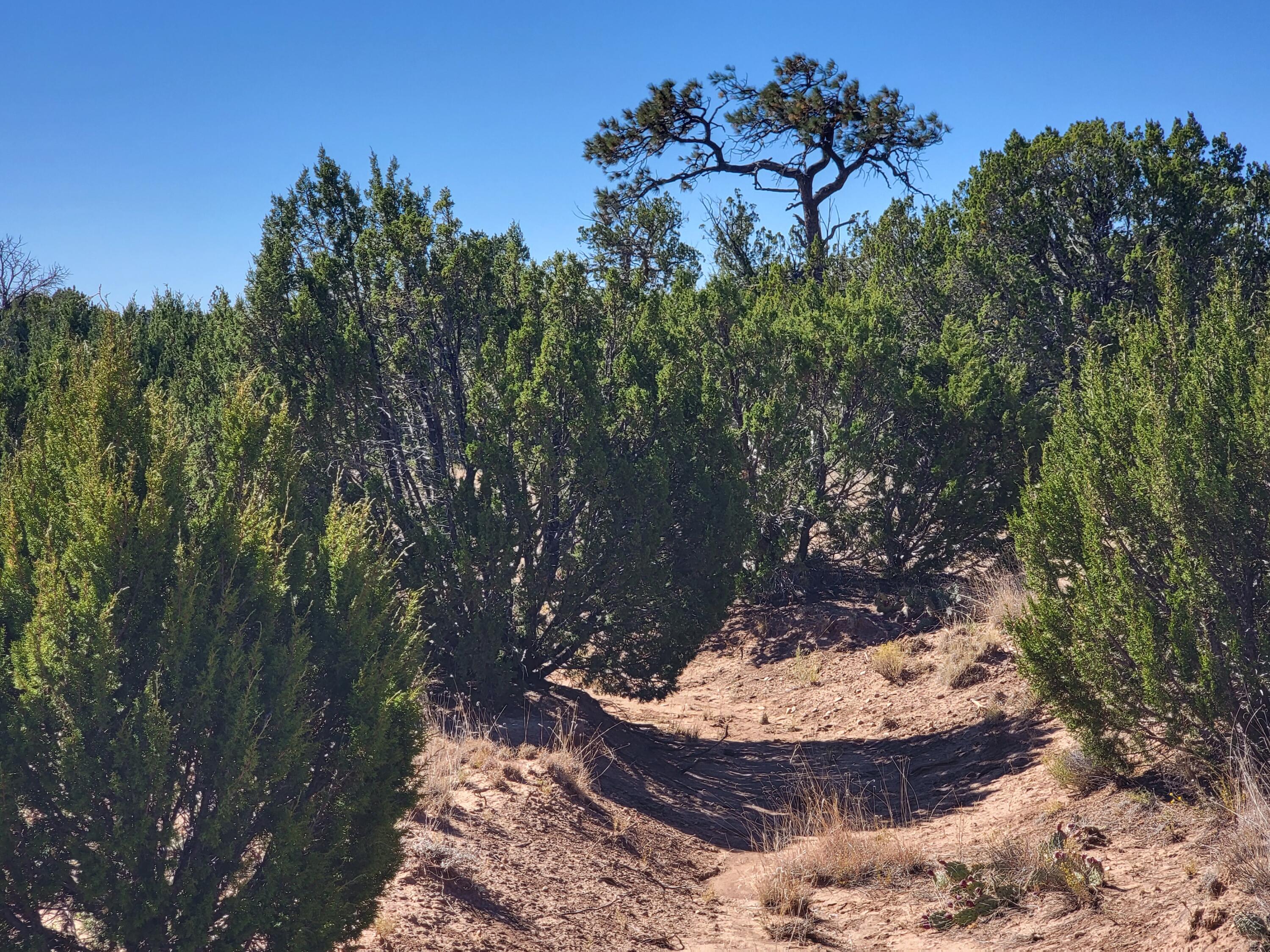 Photo 2 — 32 Camino Monte Azul