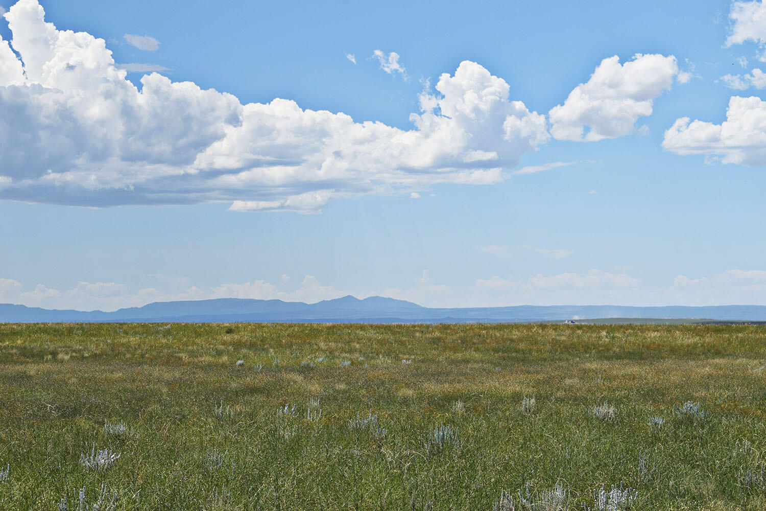 Photo 20 — Lot 5 Estancia Ranchettes 4